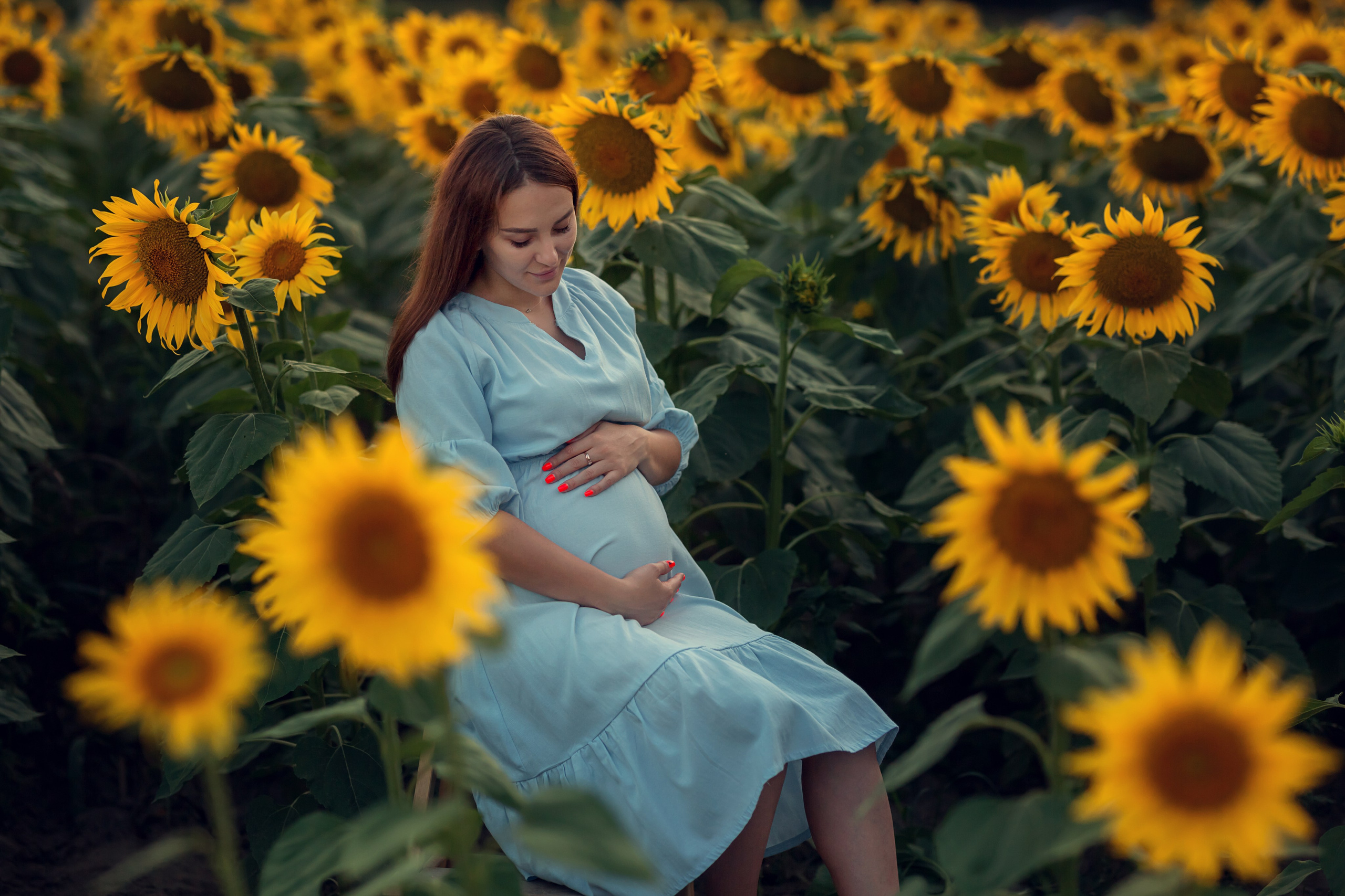 Подсолнухи. Семейный и детский фотограф Екатерина Савёлова