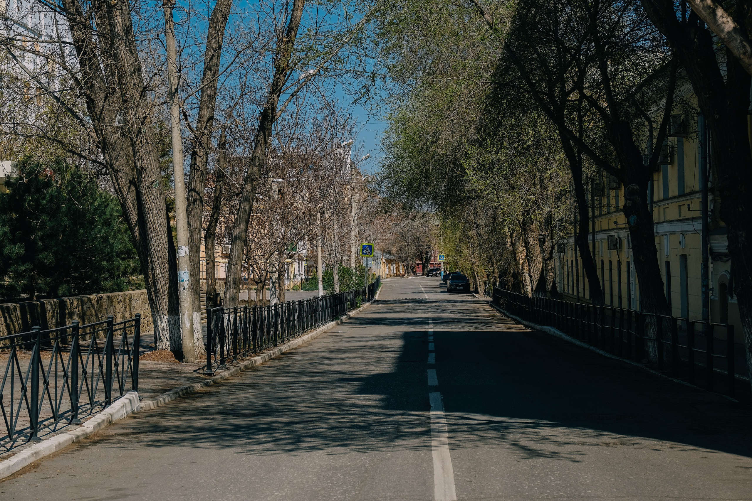 Пандемия. Фотограф Анатолий Деникин