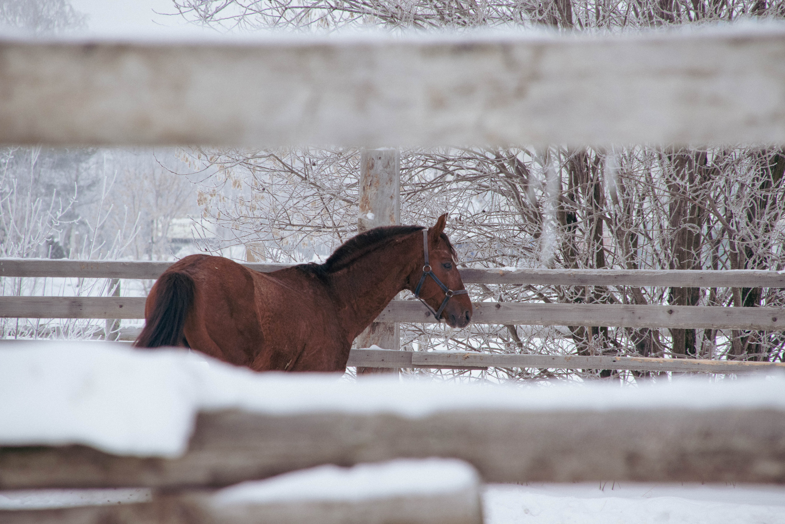 Фотограф в Москве Дарья Дирель. Запечатлеваю самые яркие моменты