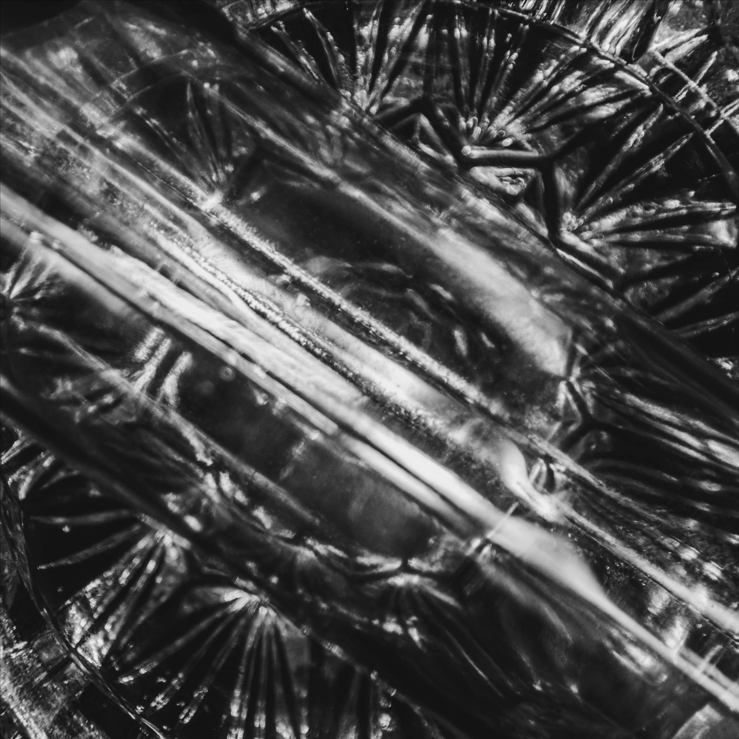 Город из стекла. Фотограф в Москве Дарья Дирель. Запечатлеваю самые яркие моменты