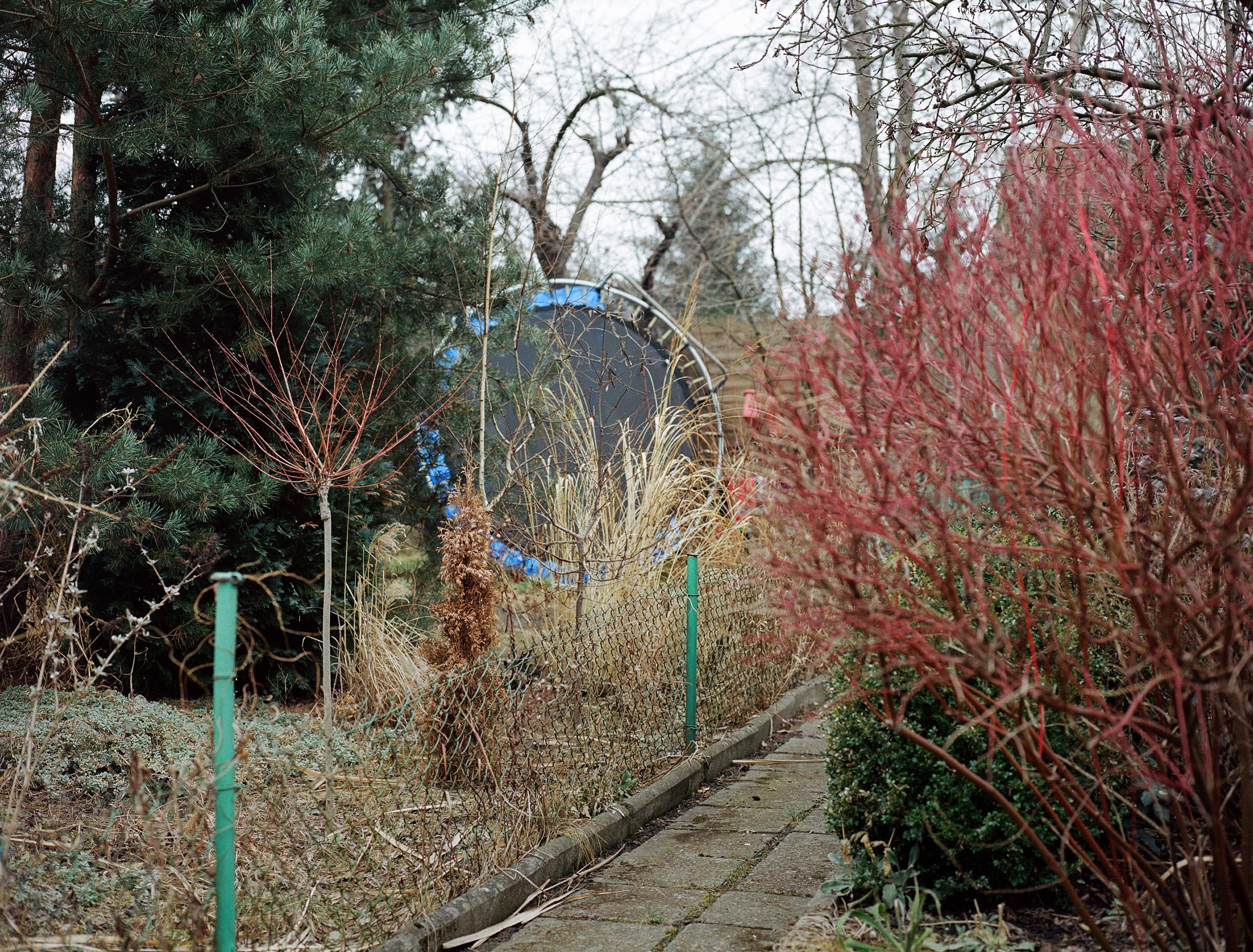 Floating numbness. Photographer, Documentary and Art