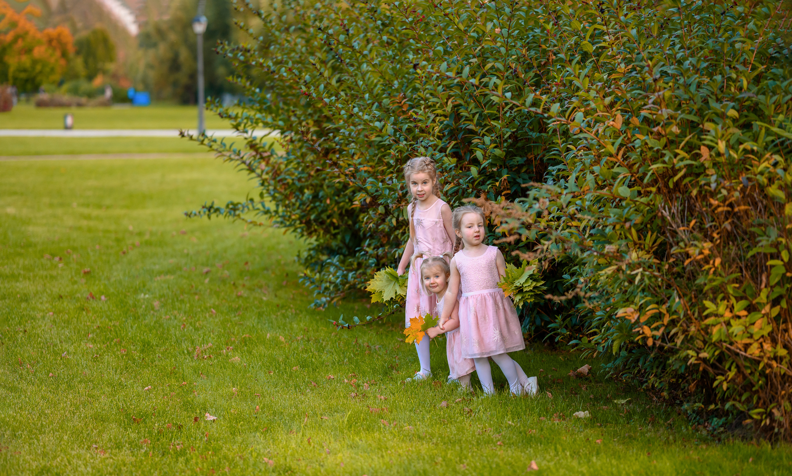 Моменты счастья. Свадебный и семейный Фотограф в Москве Александр Березин