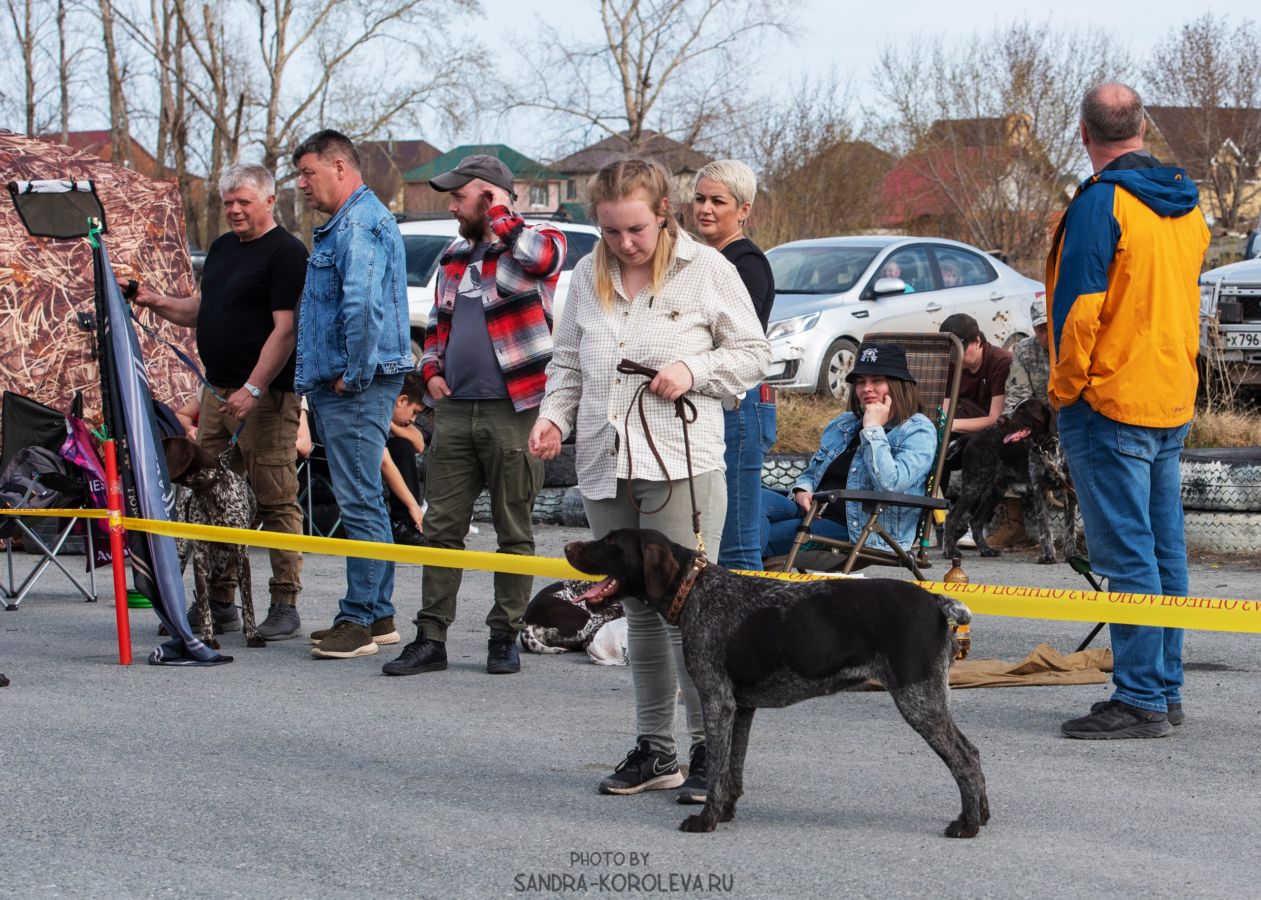 Выставки. Главная