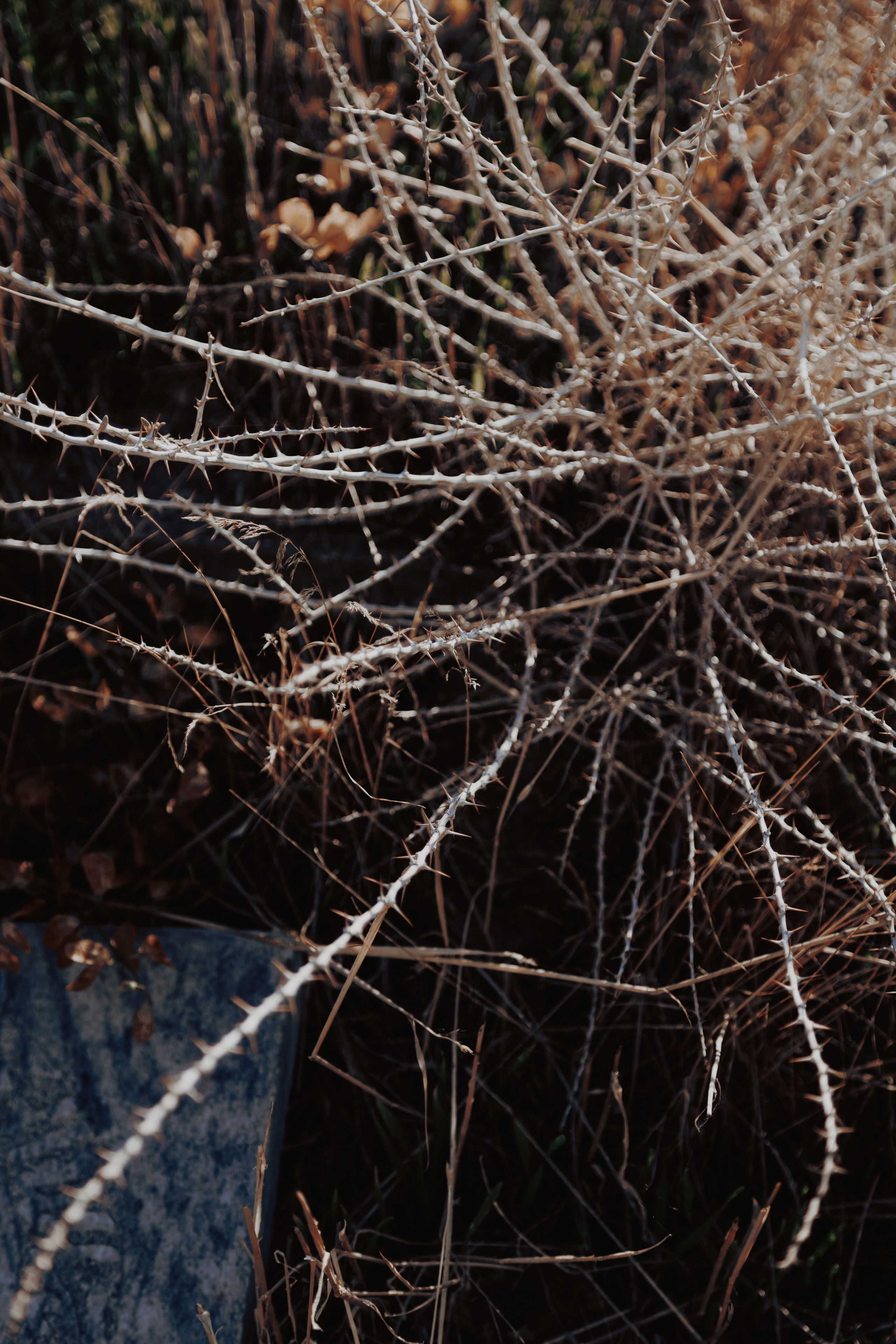 Узбекистан. Креатор Ольга Яш