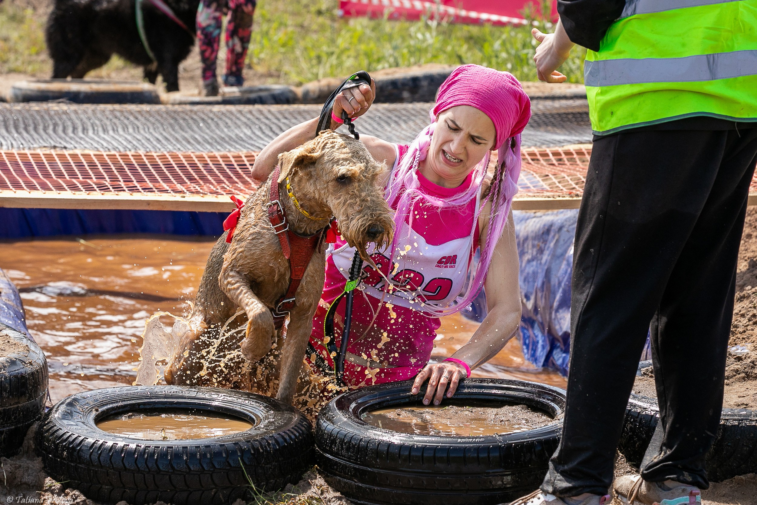 Фоторепортаж с забега с собаками. Фотограф-анималист в Москве и Московской области Татьяна Фролова