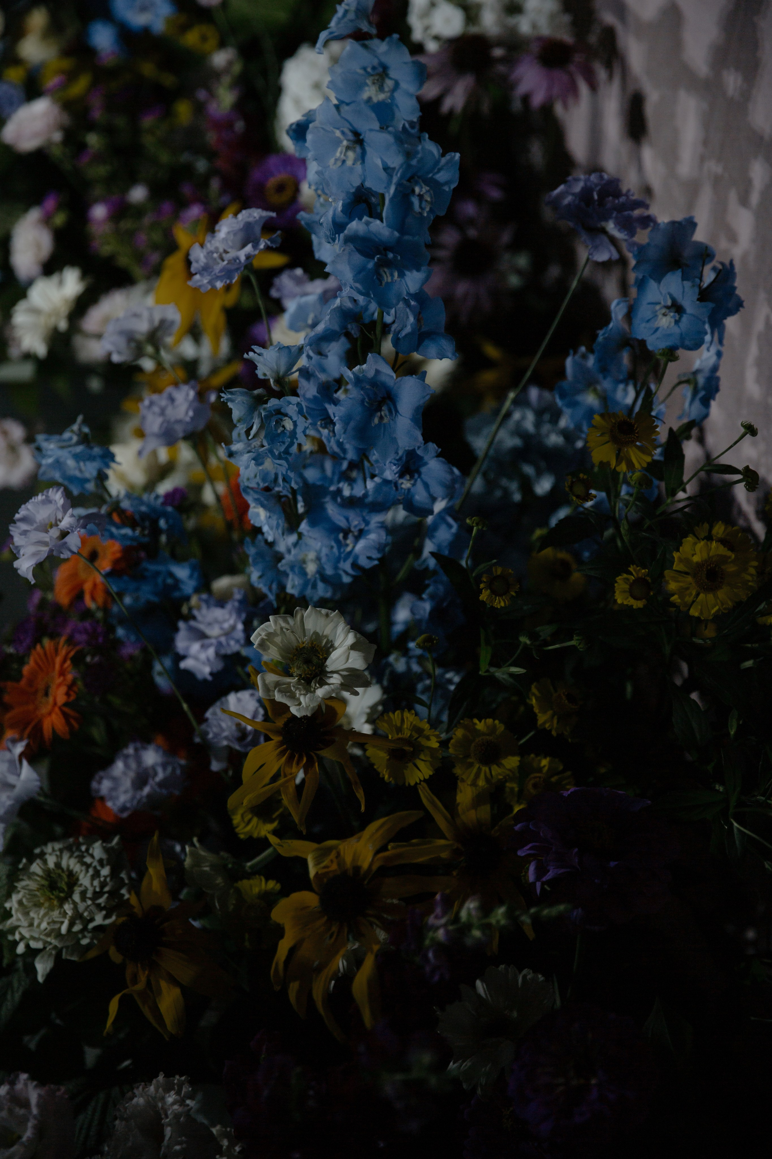 25.08.2024. RETOUCH-HOUSE