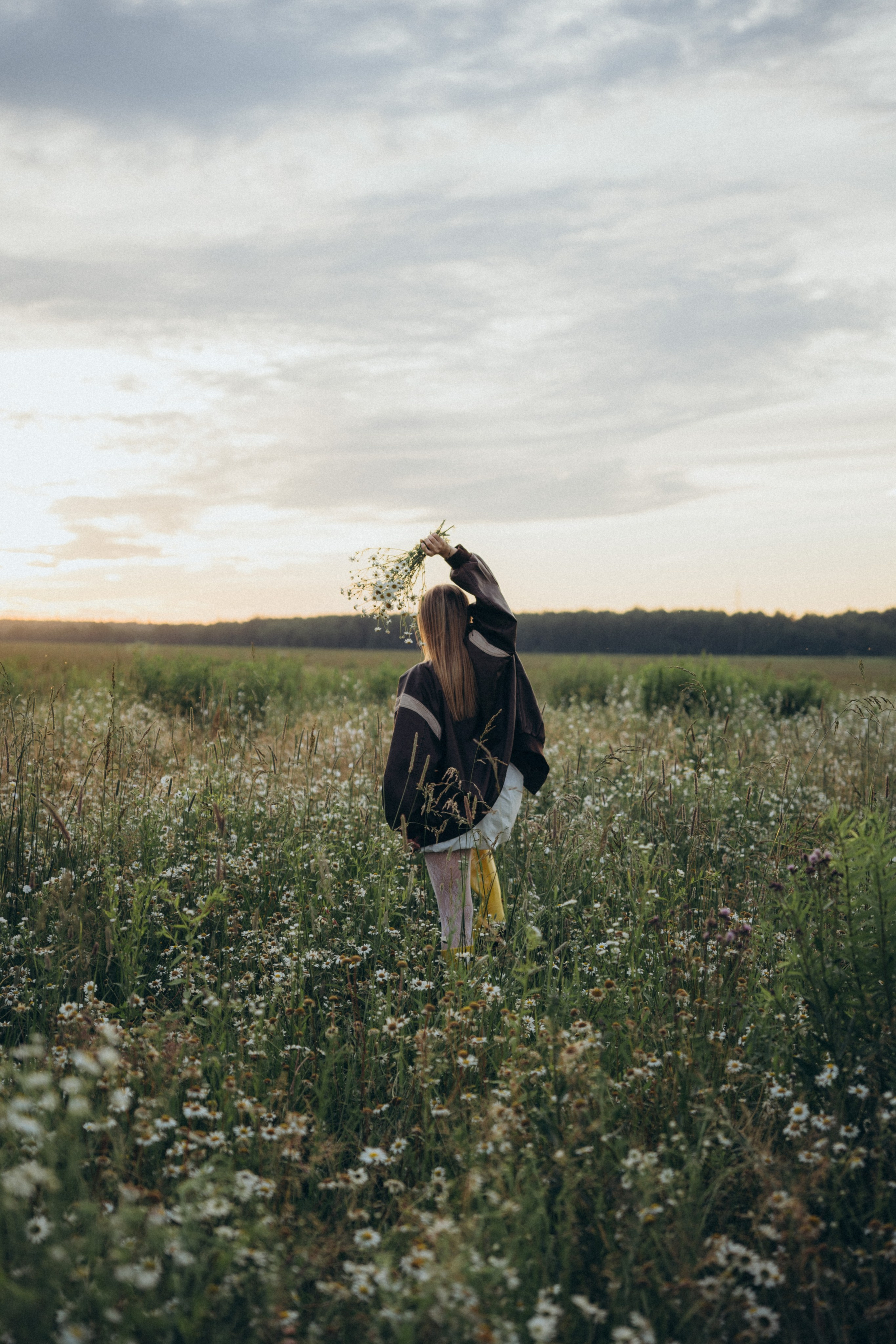 Ромашки. Фотограф Москва