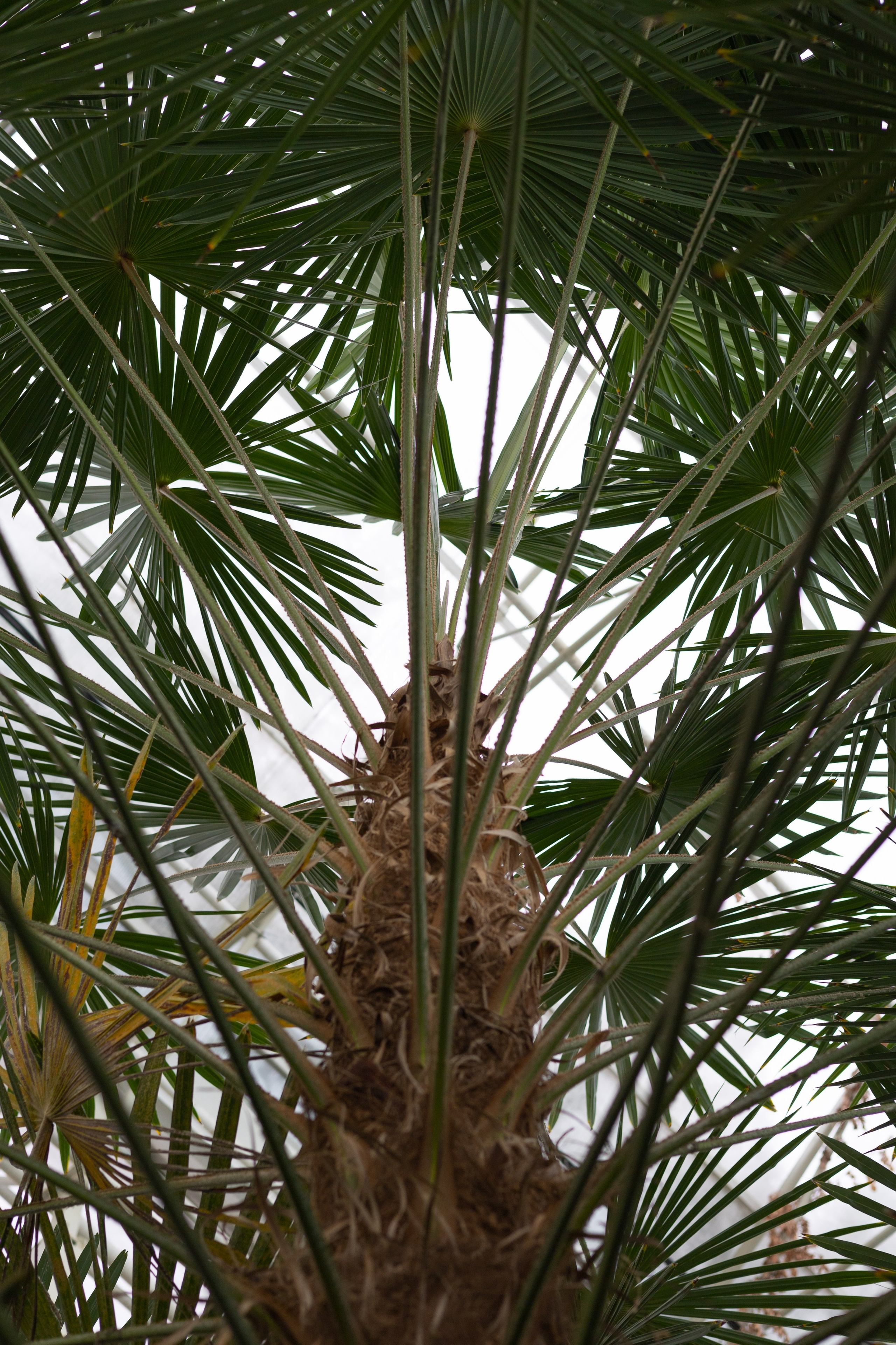 Secret Garden. ITMAG.ME | Visual Art