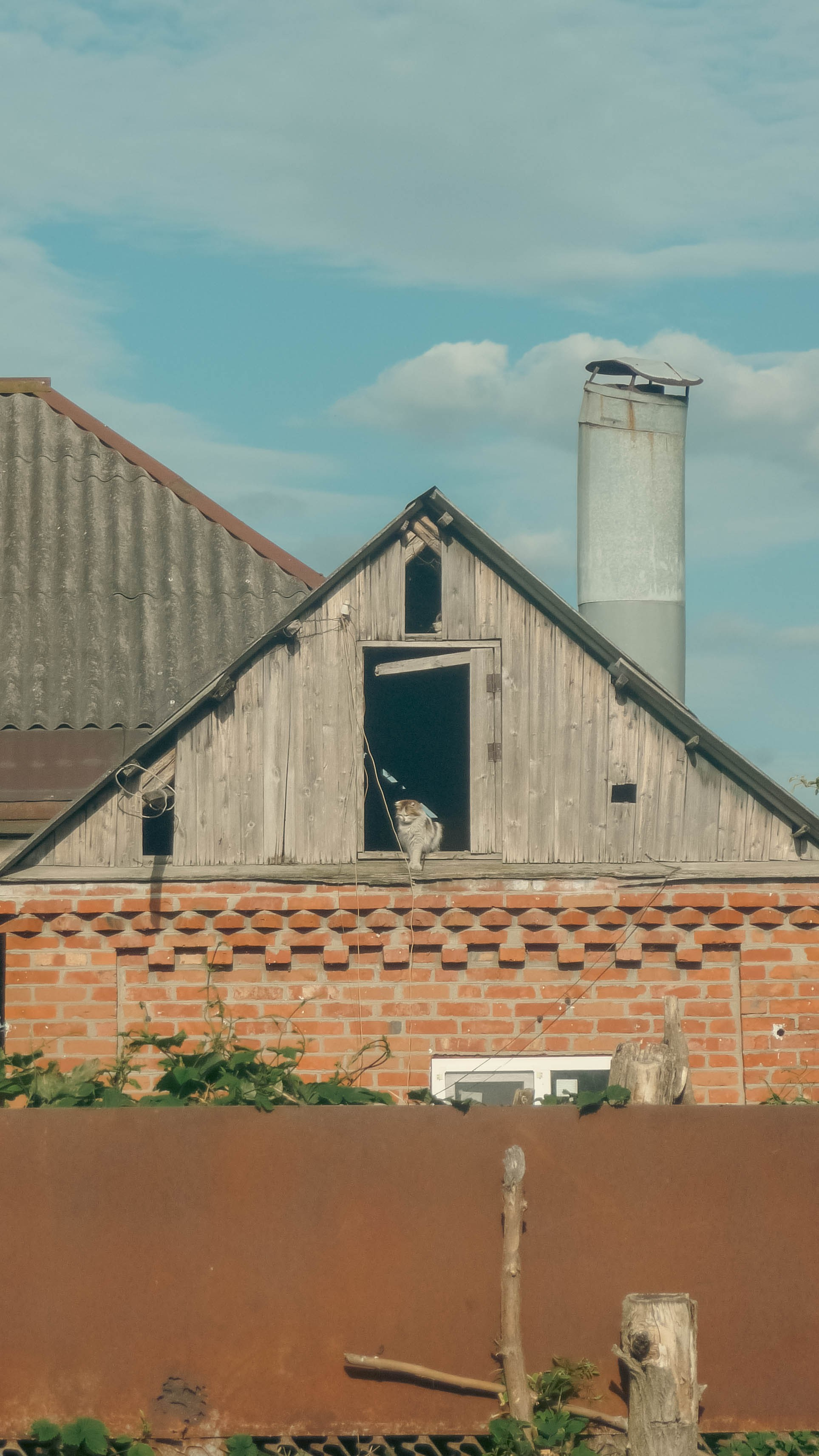 Майская Кубань. Фотограф Анастасия Лощакова в Москве