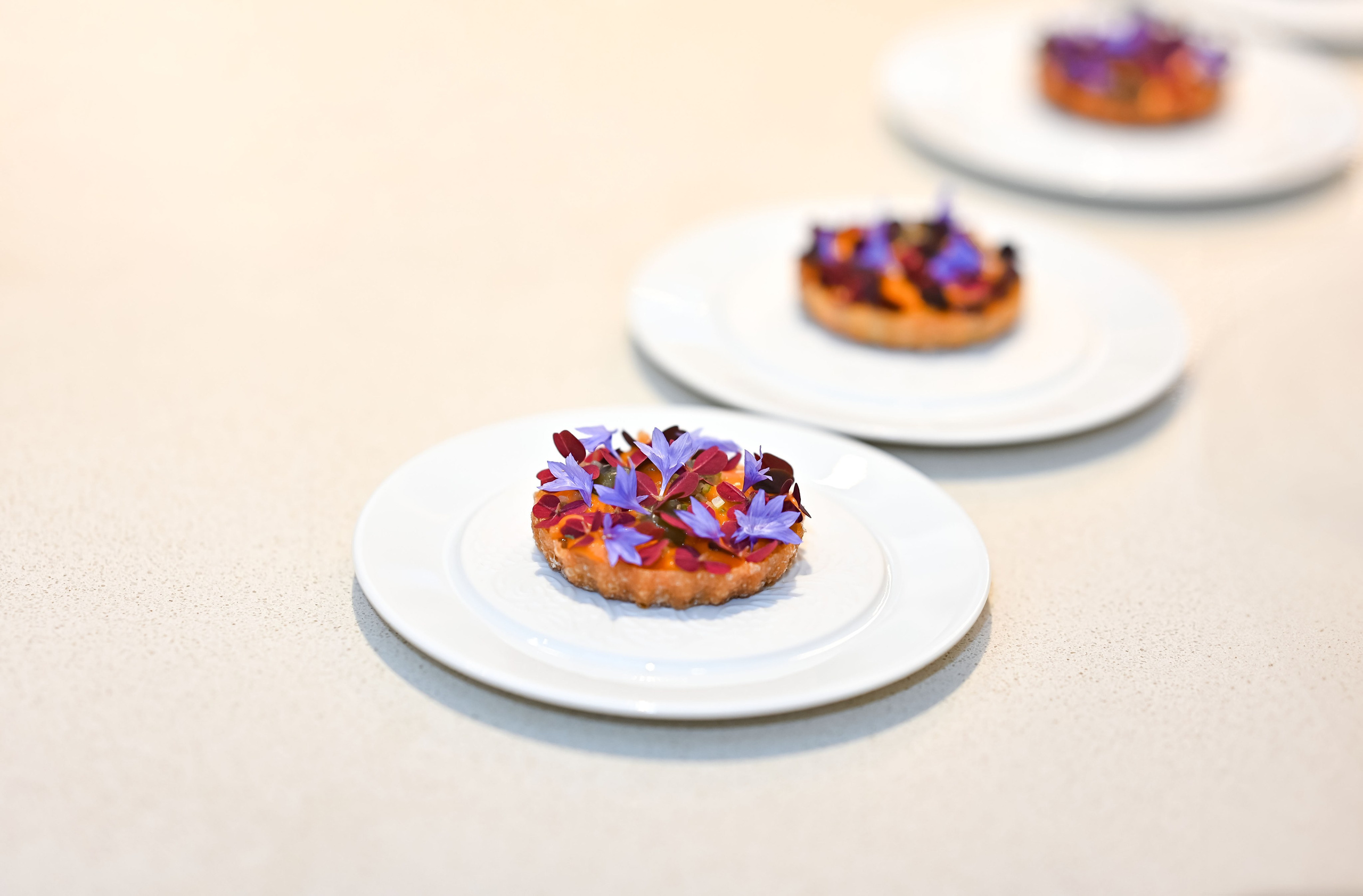 . ZDARONOKIA Репортажный фотограф