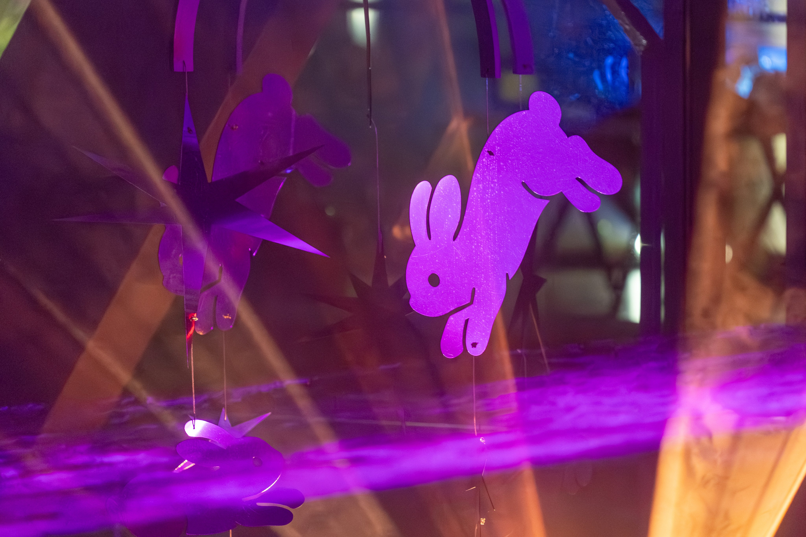 Skypark! Live. Репортажный фотограф в Красной Поляне и Сочи Павлюченко Екатерина