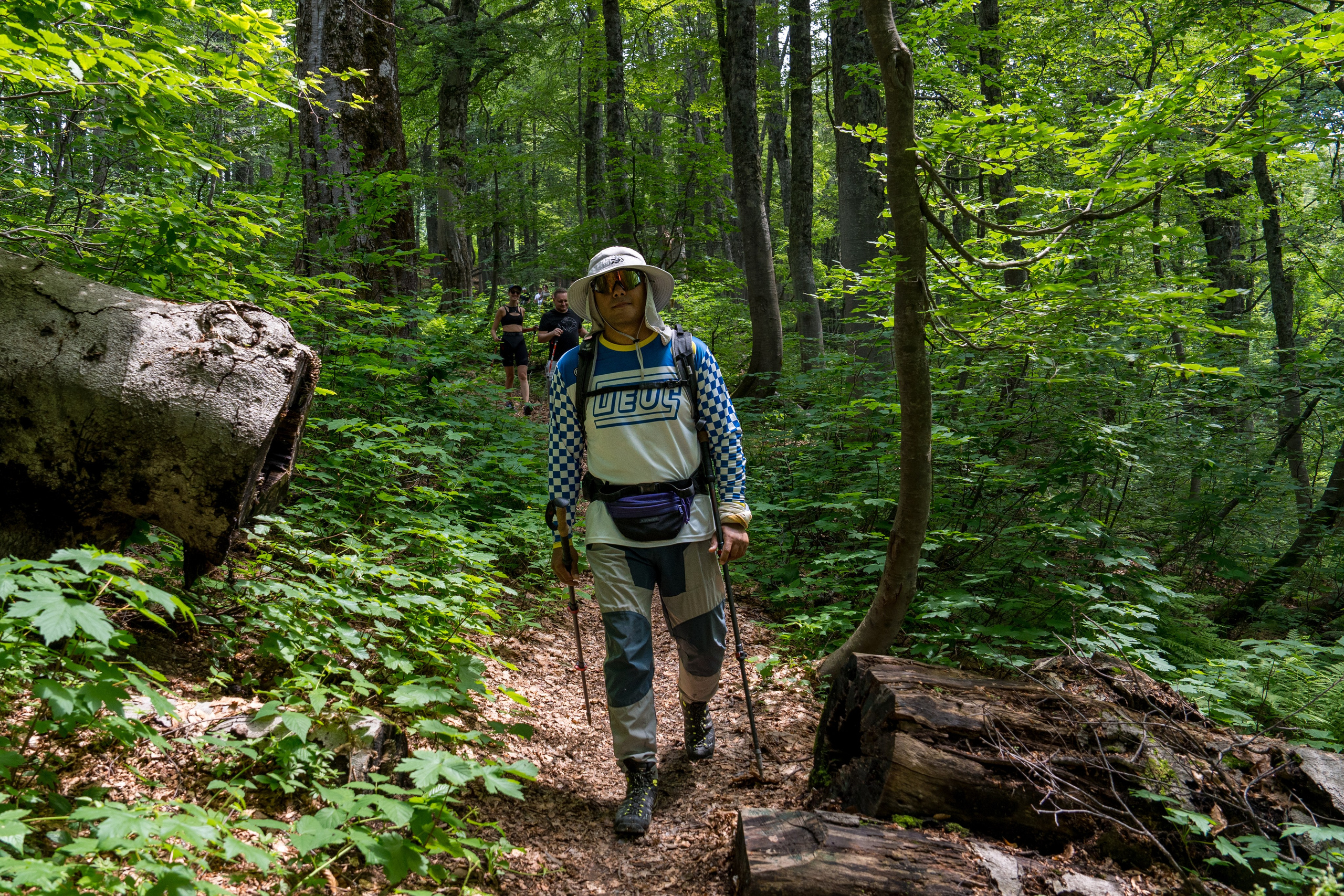 MICE мероприятие для компании «Доставка морем»: хайкинг к Ачипсинским водопадам. Репортажный фотограф в Красной Поляне и Сочи Павлюченко Екатерина