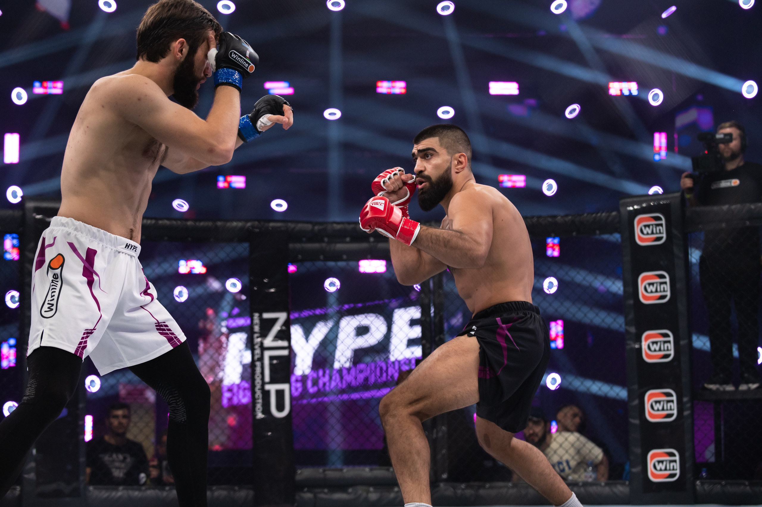 Бои. Репортажный фотограф в Красной Поляне и Сочи Павлюченко Екатерина