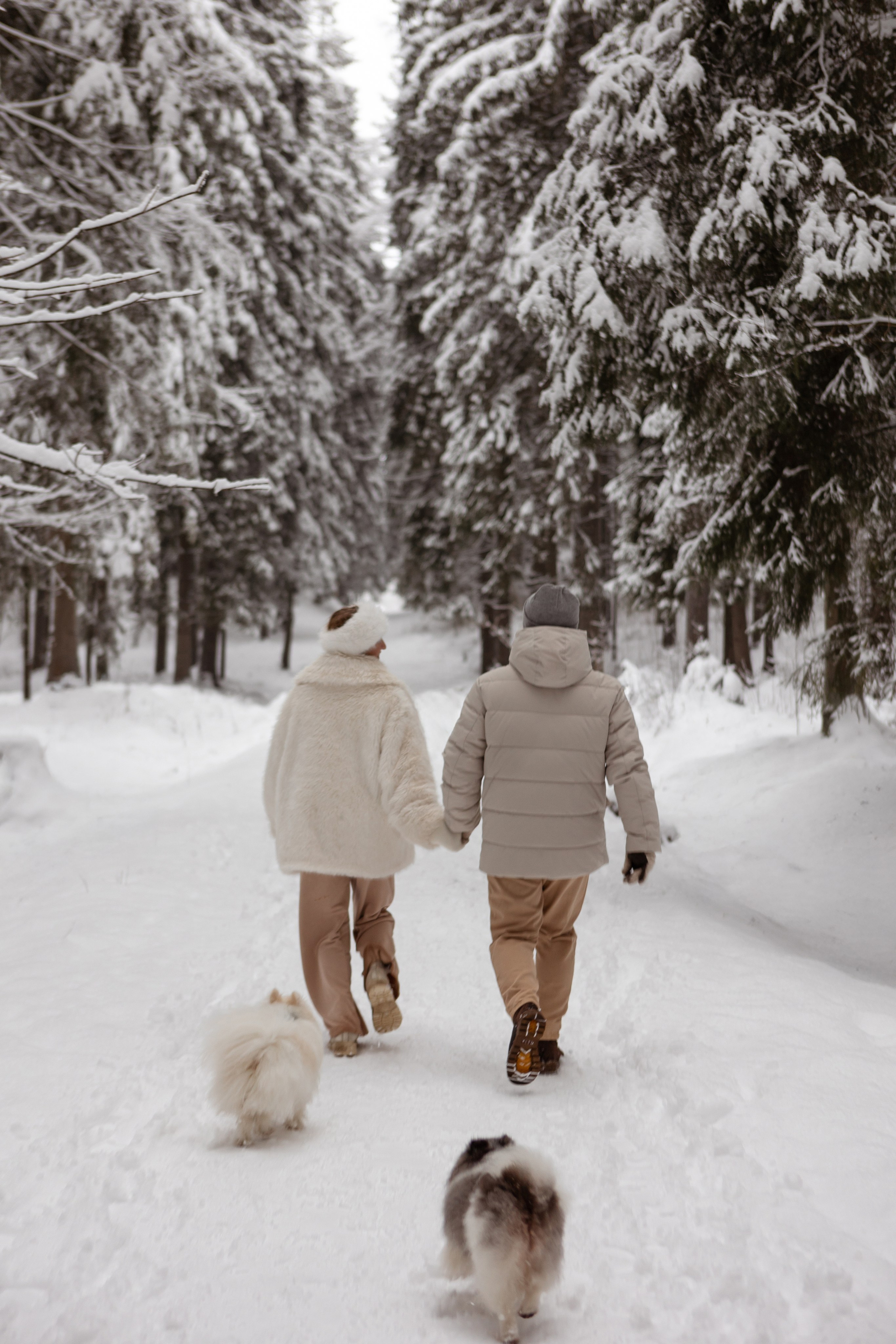 Новогодняя фотосессия с собачками в шуваловском парке. Свадебный фотограф в СПБ | Санкт-Петербурге Анастасия Рахимгулова