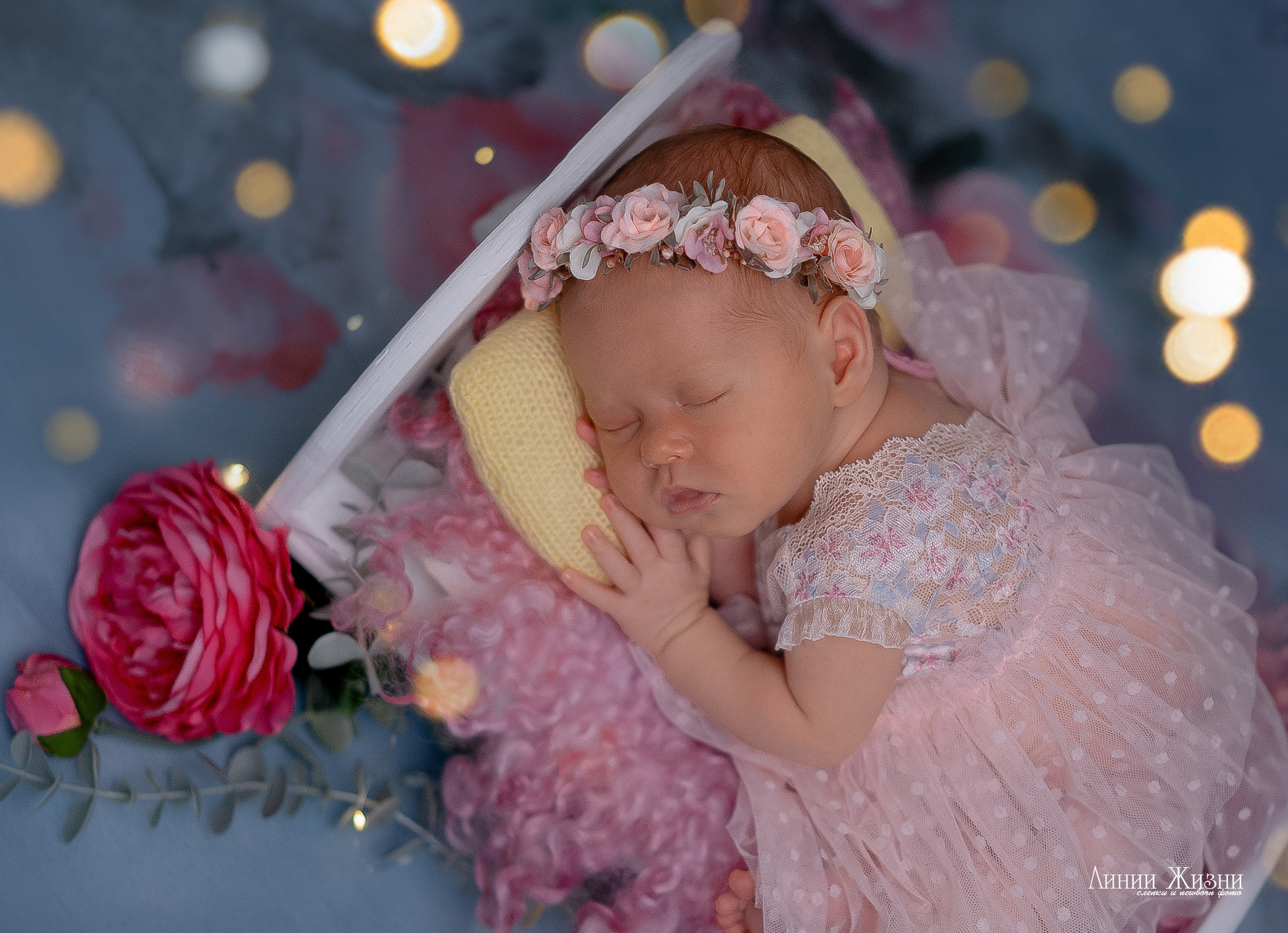 Серафима 19 дней. Фотограф новорожденных в Нижнем Новгороде Сергеева Оксана
