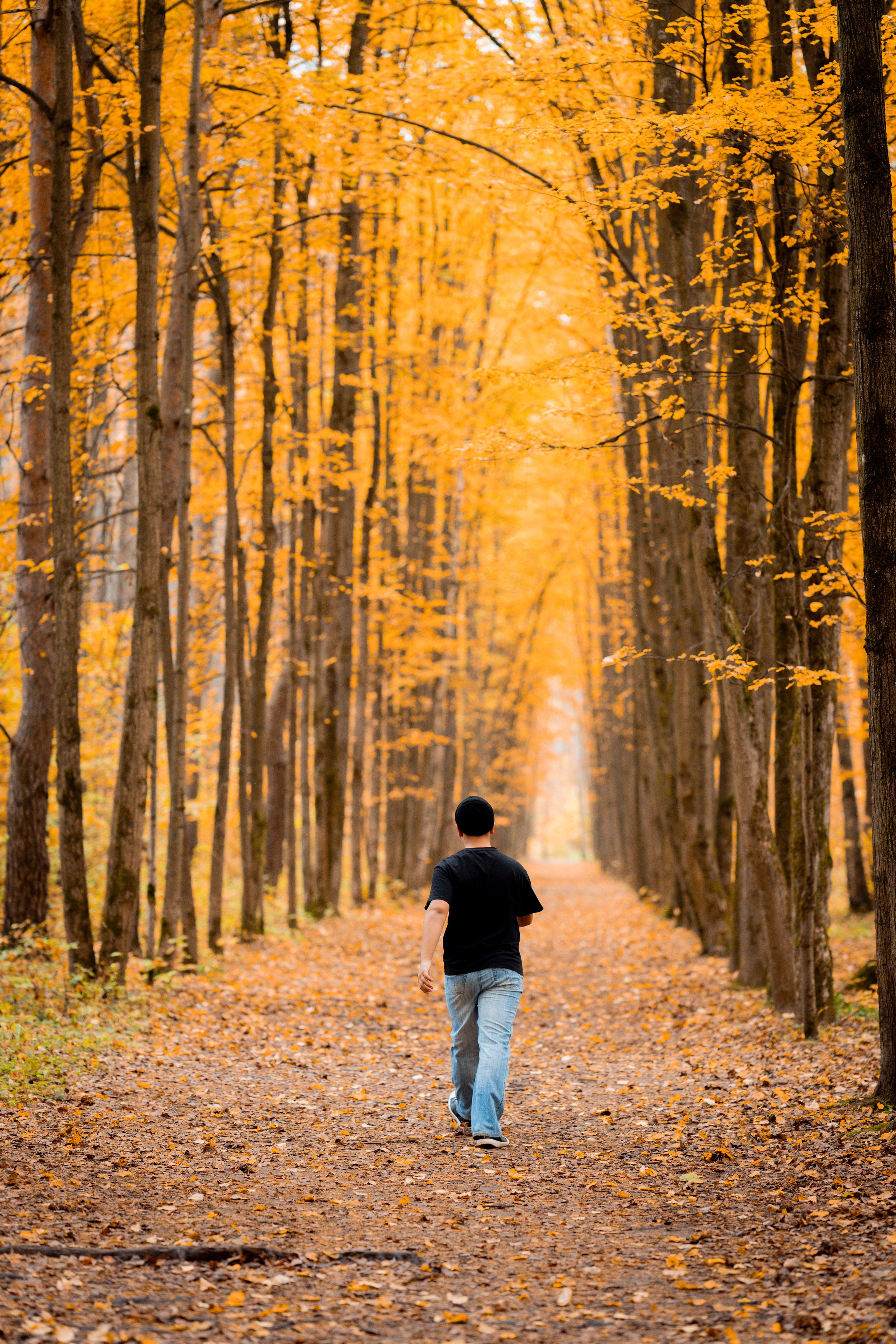 Осень. Фотограф Юлия Попова