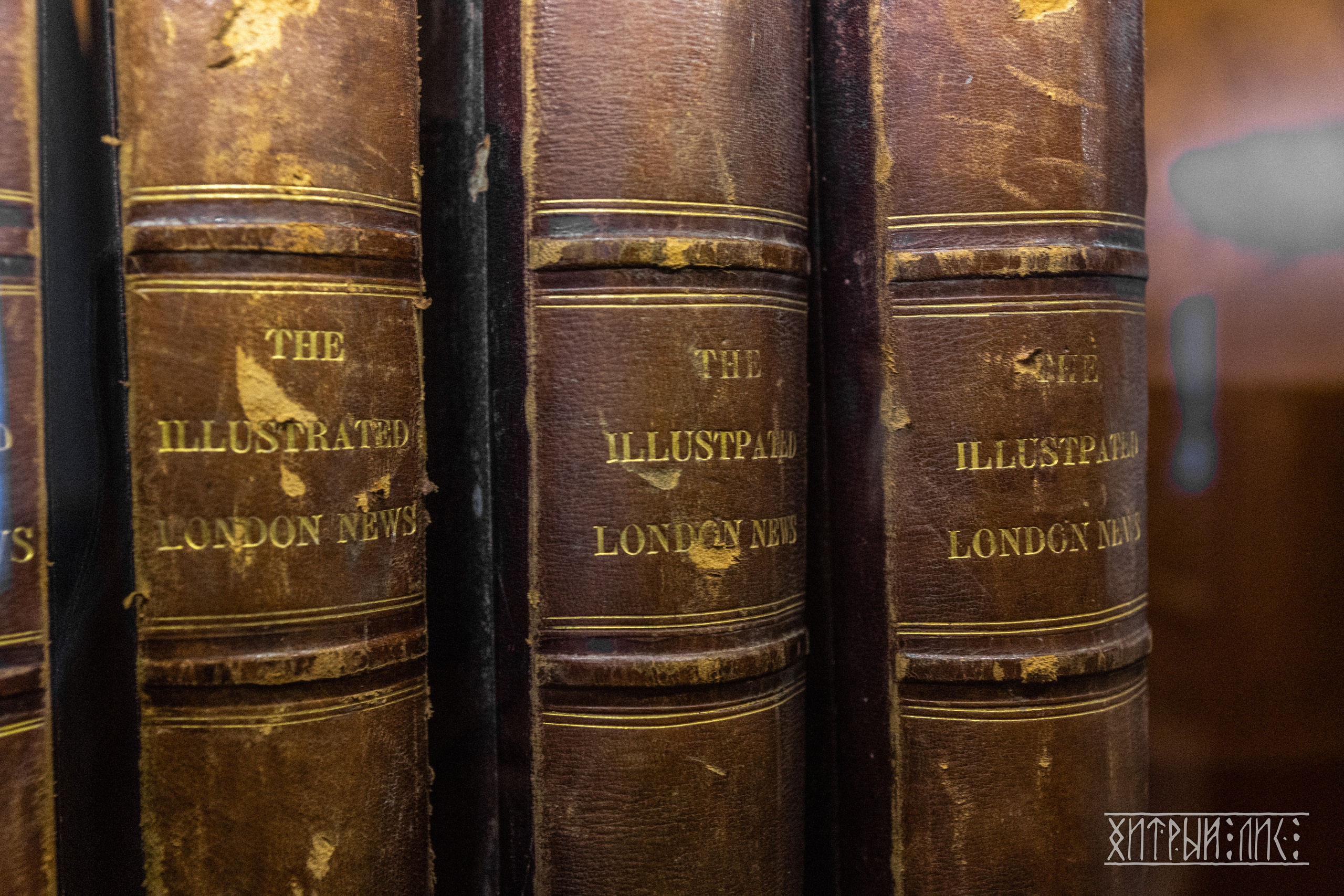 Беларусь. Фотограф-путешественник Самойлов Максим «Sly Fox»