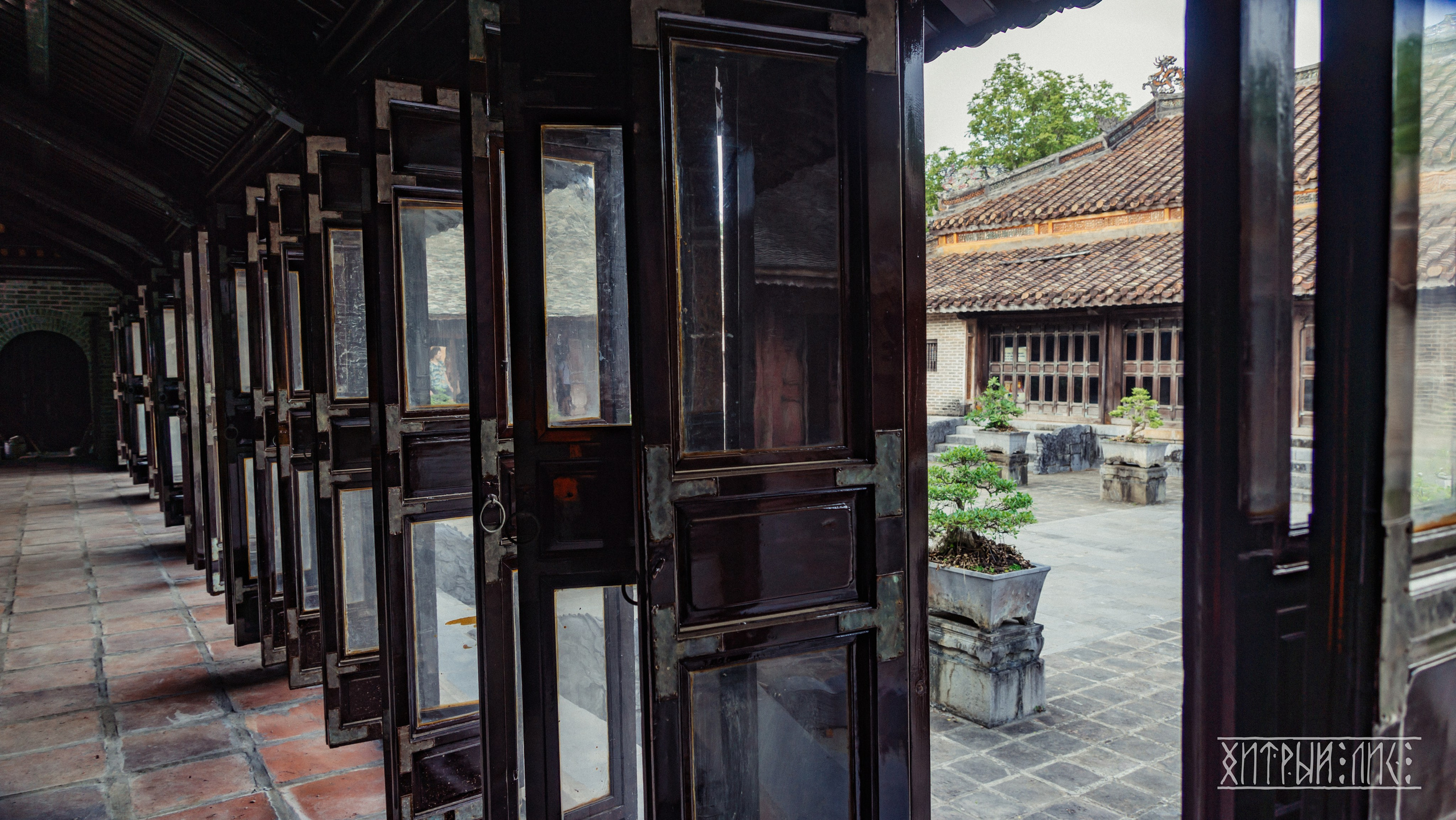 Вьетнам. Фотограф-путешественник Самойлов Максим «Sly Fox»