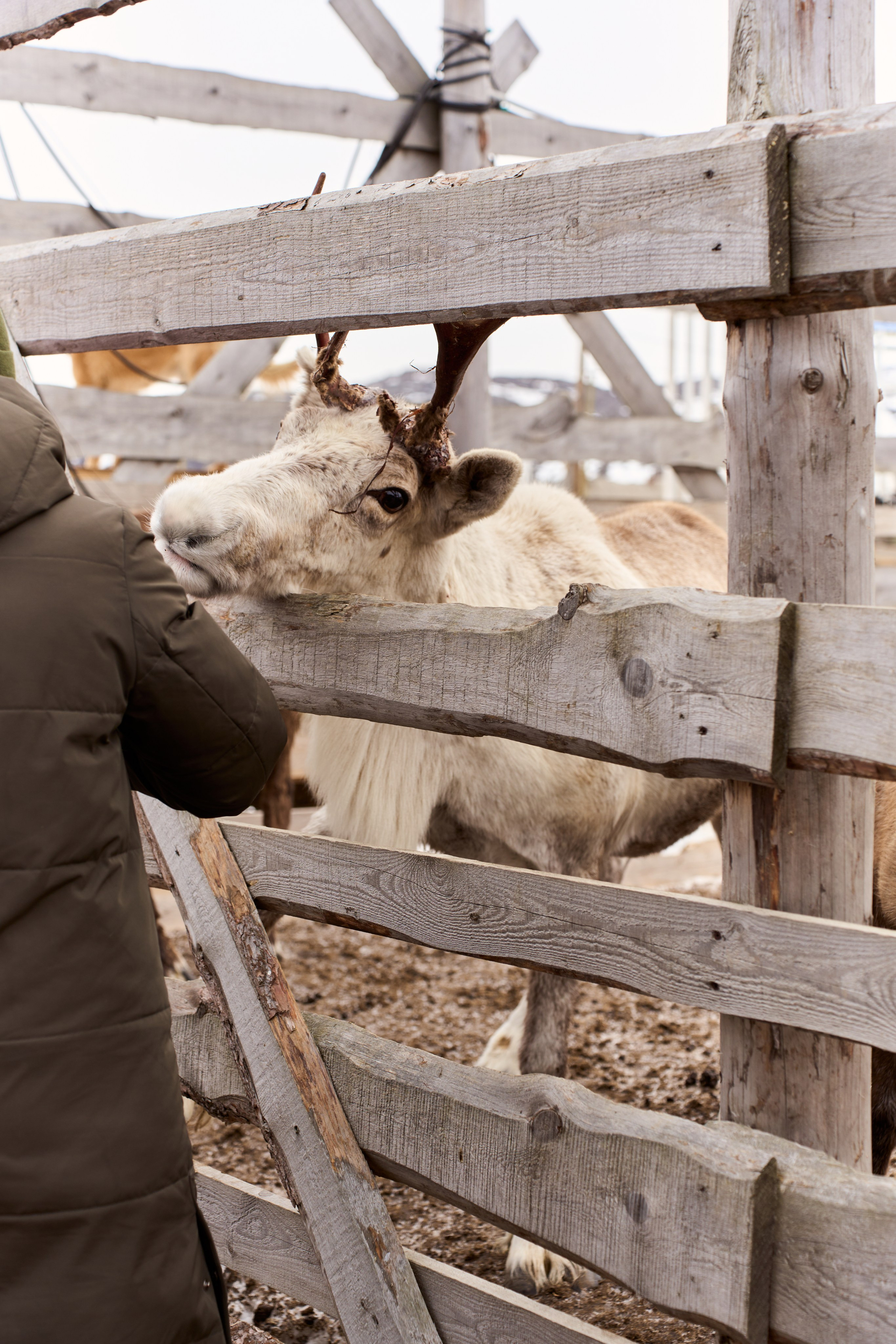TERIBERKA. Photographer in Yekaterinburg, Sochi, Istanbul, Tbilisi-Bshari Zaana