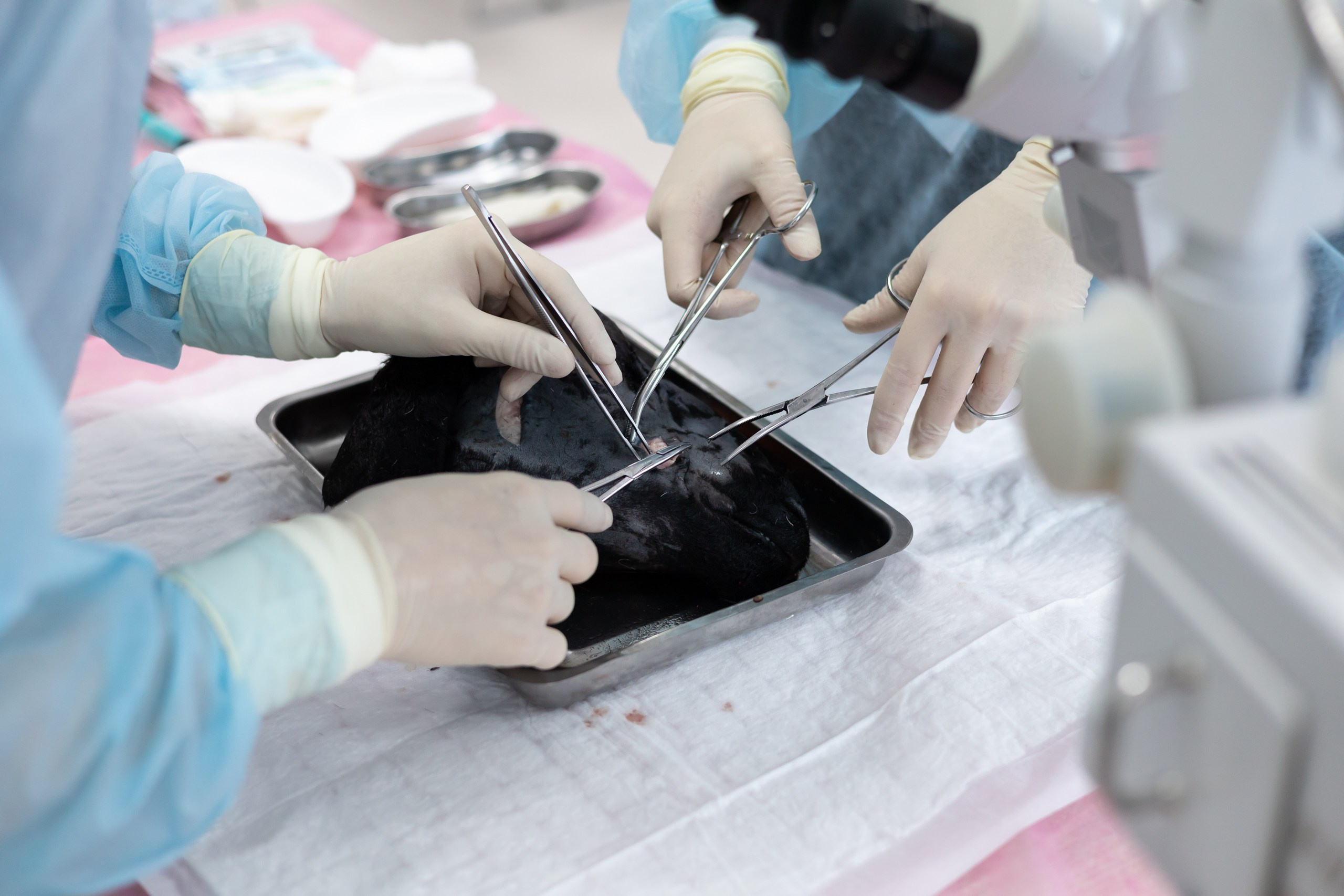 III Дальневосточная региональная олимпиада по детской хирургии. Главная