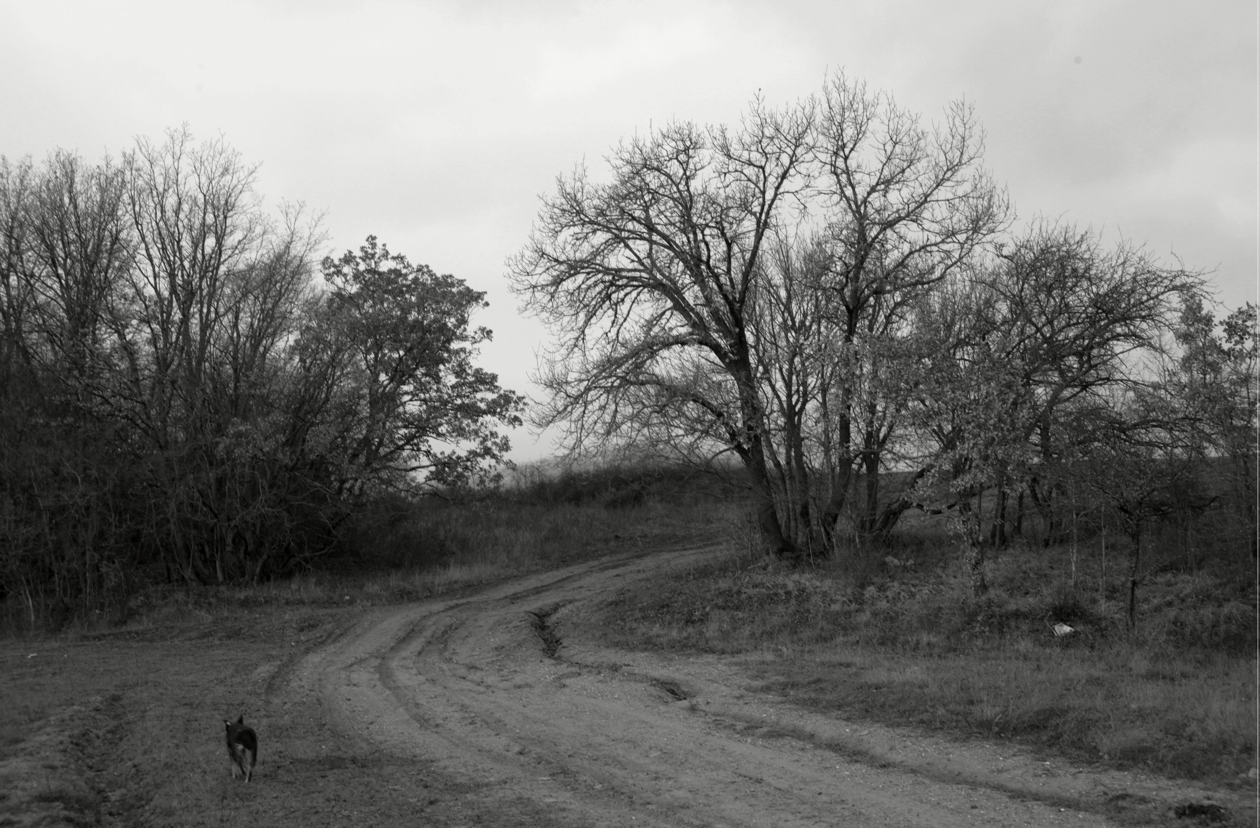 ЮЖНЫЙ КУНСАНГАР. Фотография, как она есть