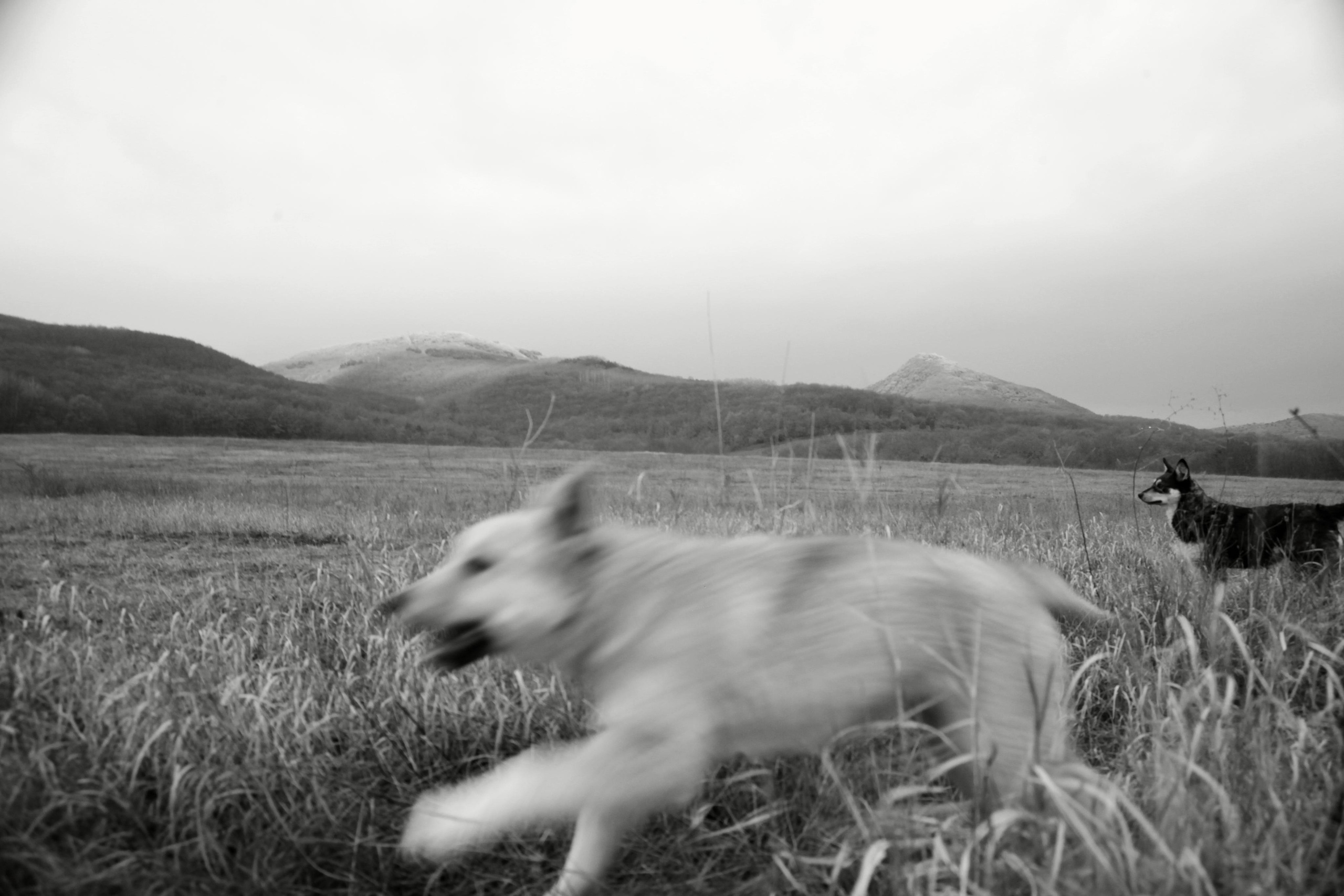 ЮЖНЫЙ КУНСАНГАР. Фотография, как она есть