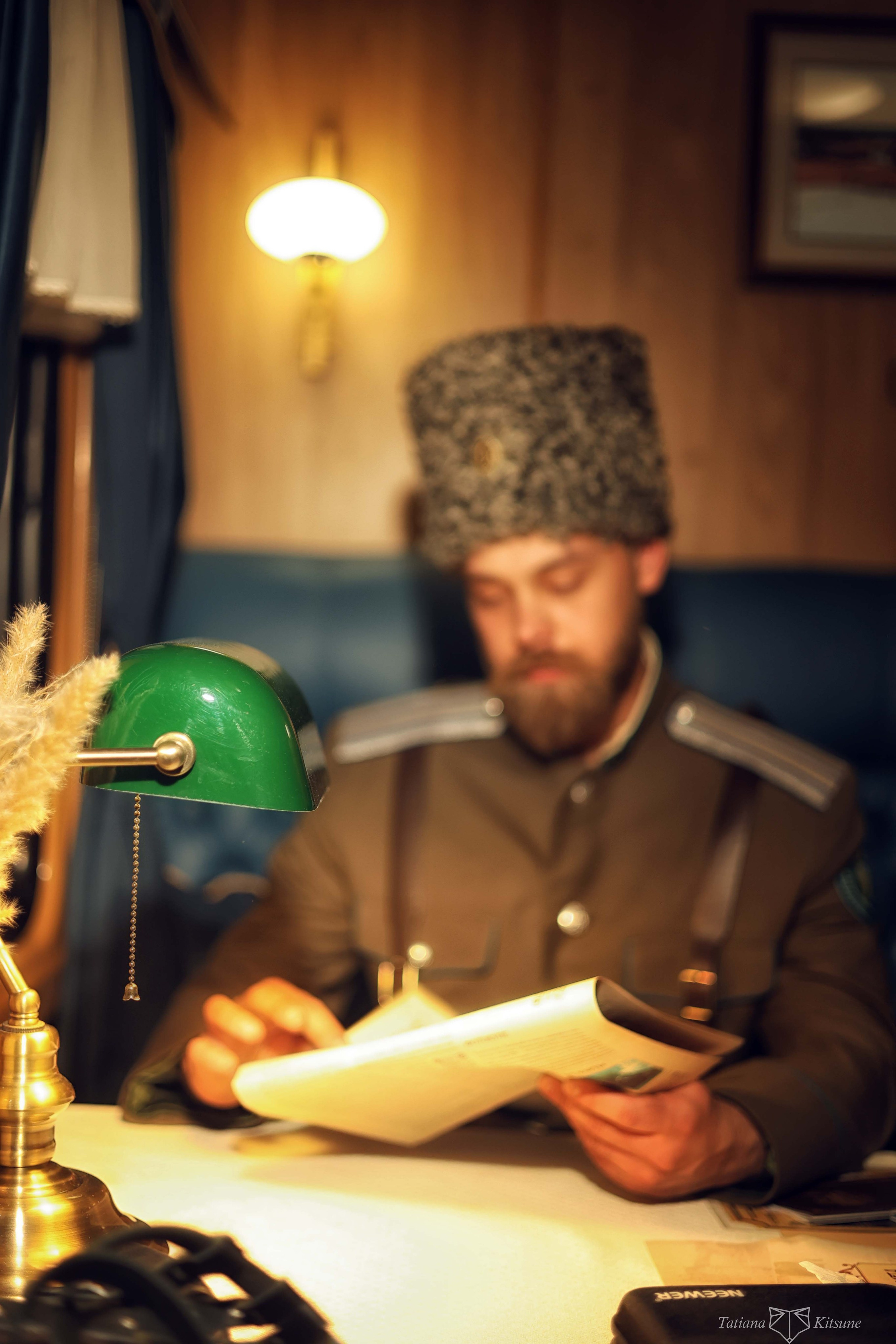 двойник Николая второго, двойник Николая 2, Владимир Третьяков 