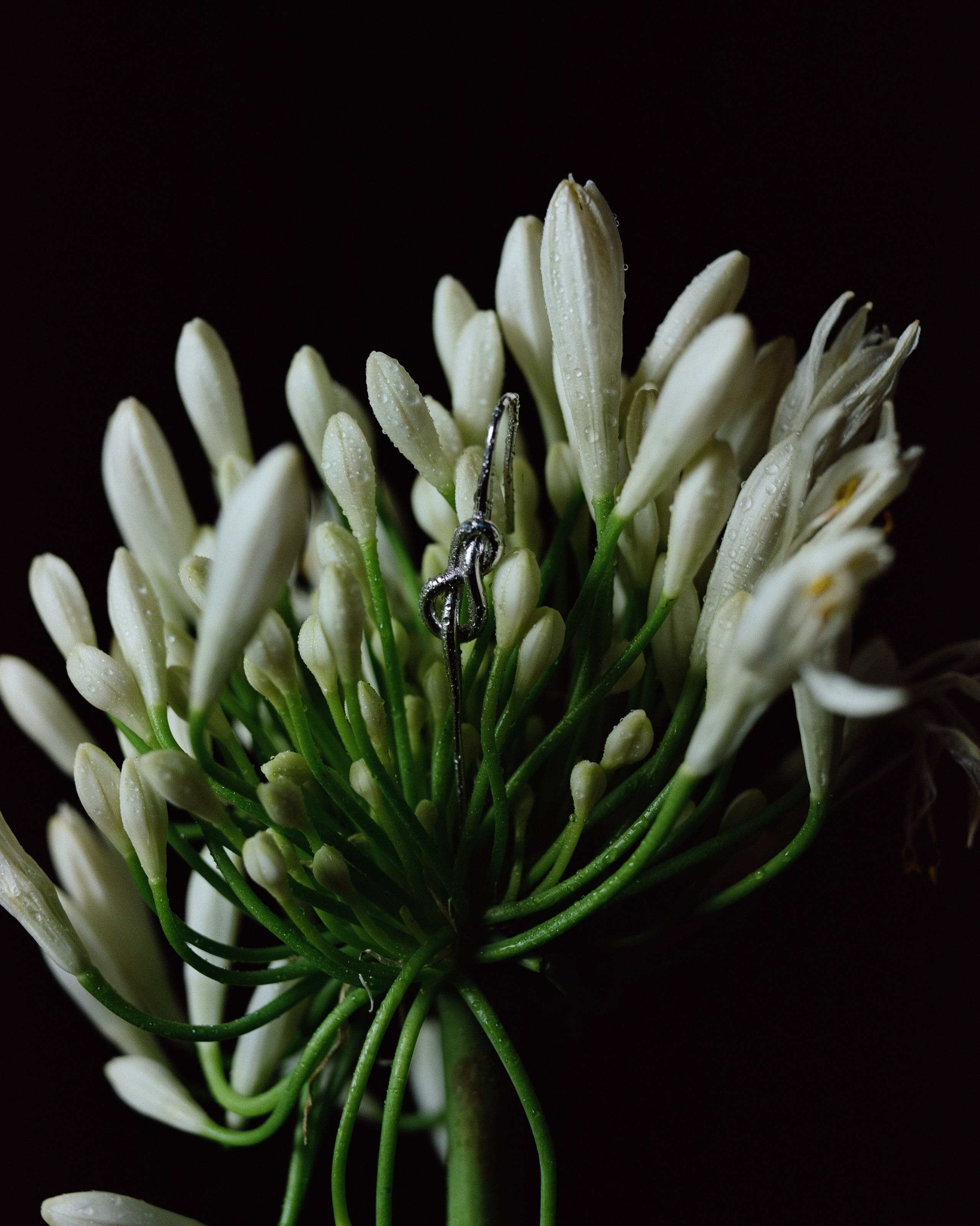 Sumei. Фотограф из Москвы