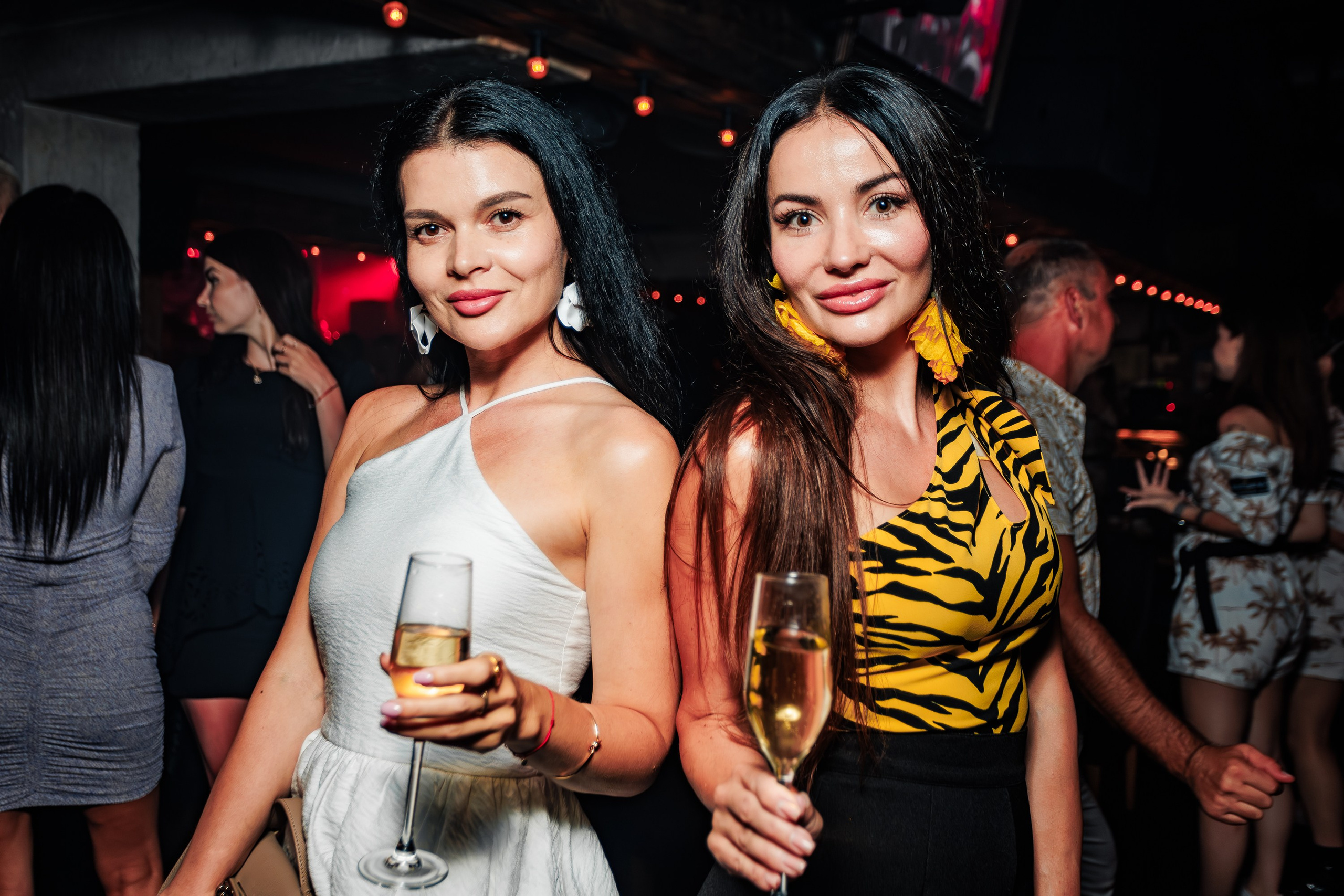 «Джиган"_Чайка на пляже_Ялта_12.07.2025 г. Аминов Руслан | Фотограф