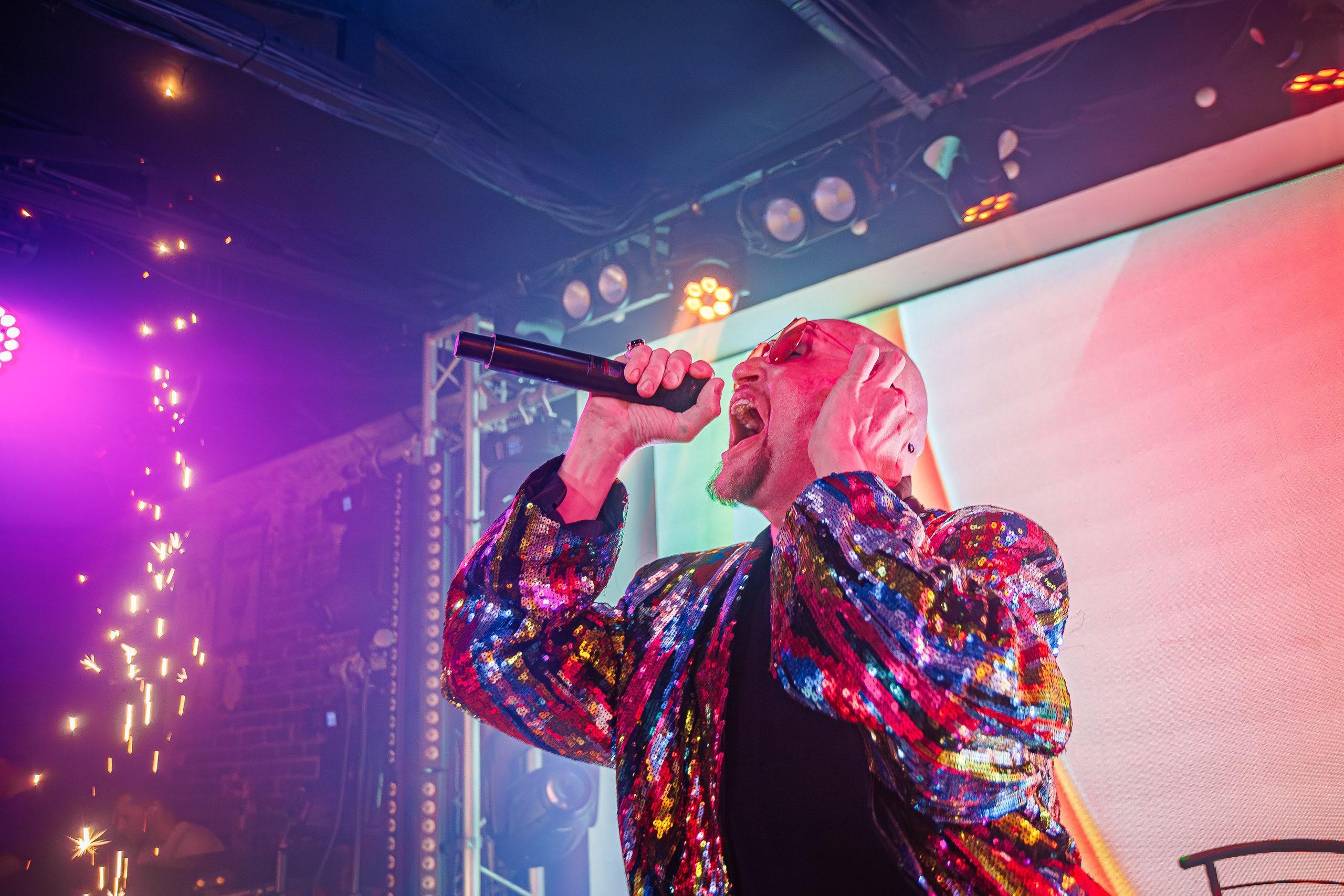 «Шура"_Чайка на пляже_Ялта_18.07.2025 г