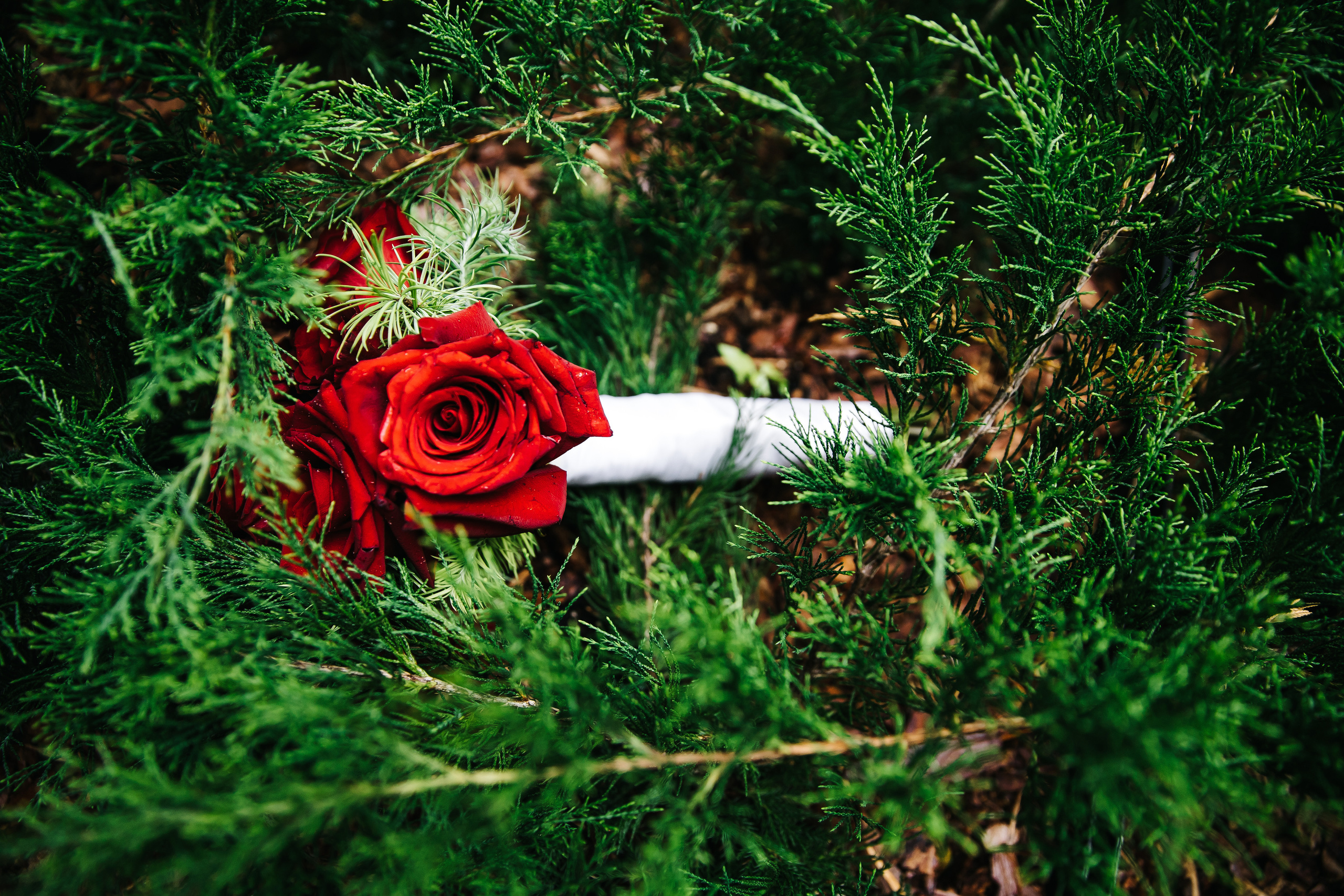 Елена и Владимир. Свадебный и семейный фотограф в Санкт-Петербурге Кирилл Шалагинов