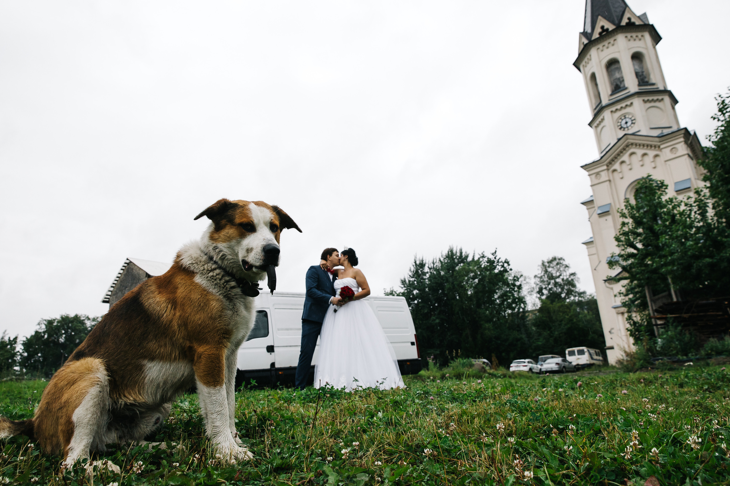 Елена и Владимир. Свадебный и семейный фотограф в Санкт-Петербурге Кирилл Шалагинов