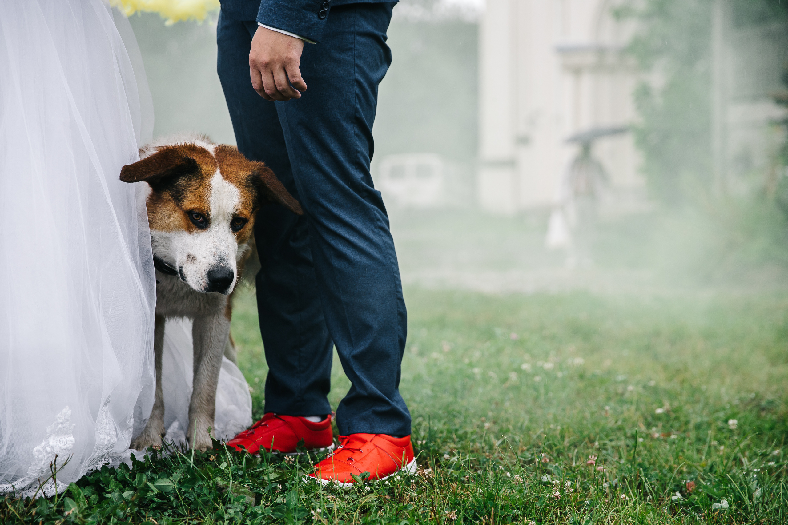 Елена и Владимир. Свадебный и семейный фотограф в Санкт-Петербурге Кирилл Шалагинов