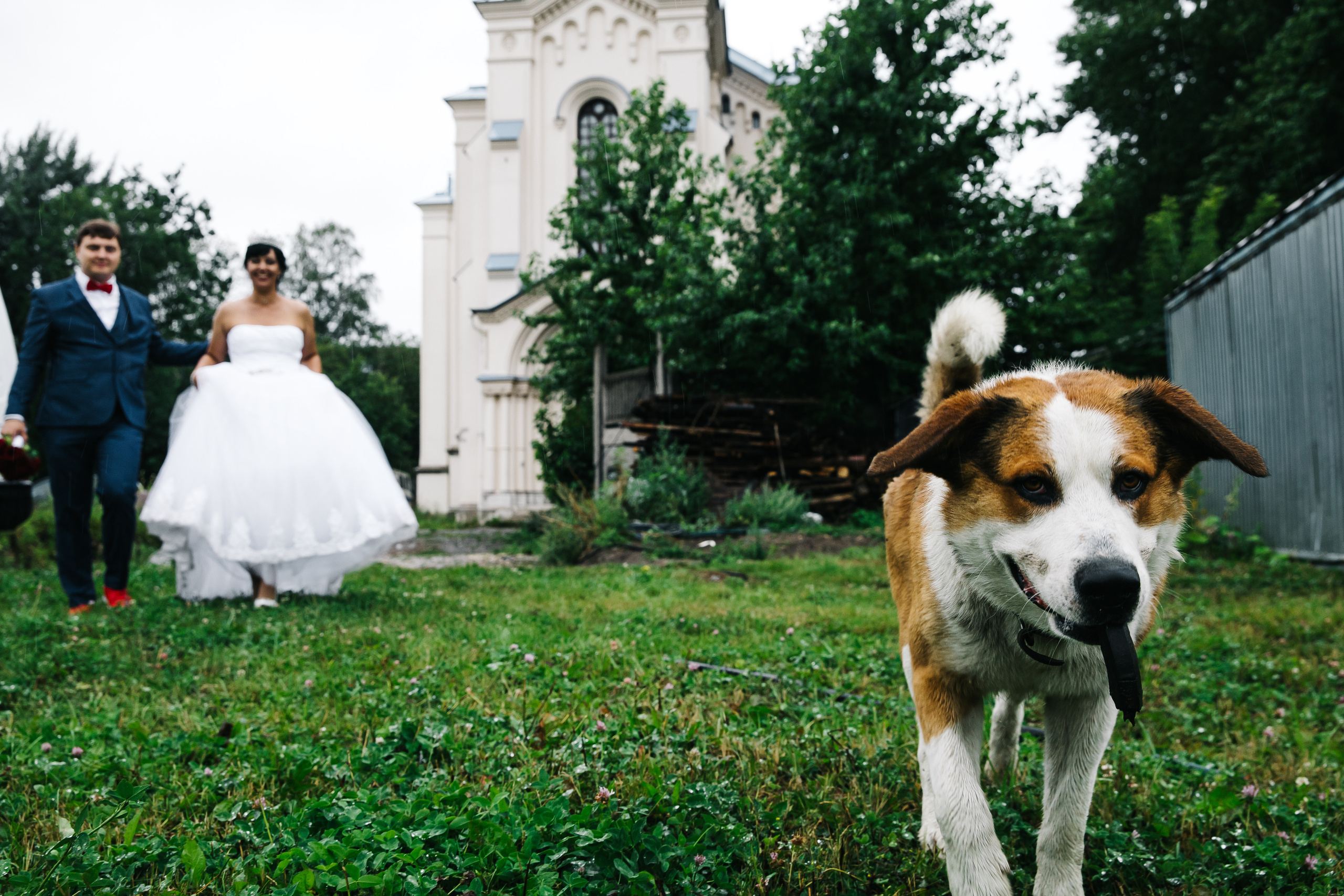 Елена и Владимир. Свадебный и семейный фотограф в Санкт-Петербурге Кирилл Шалагинов