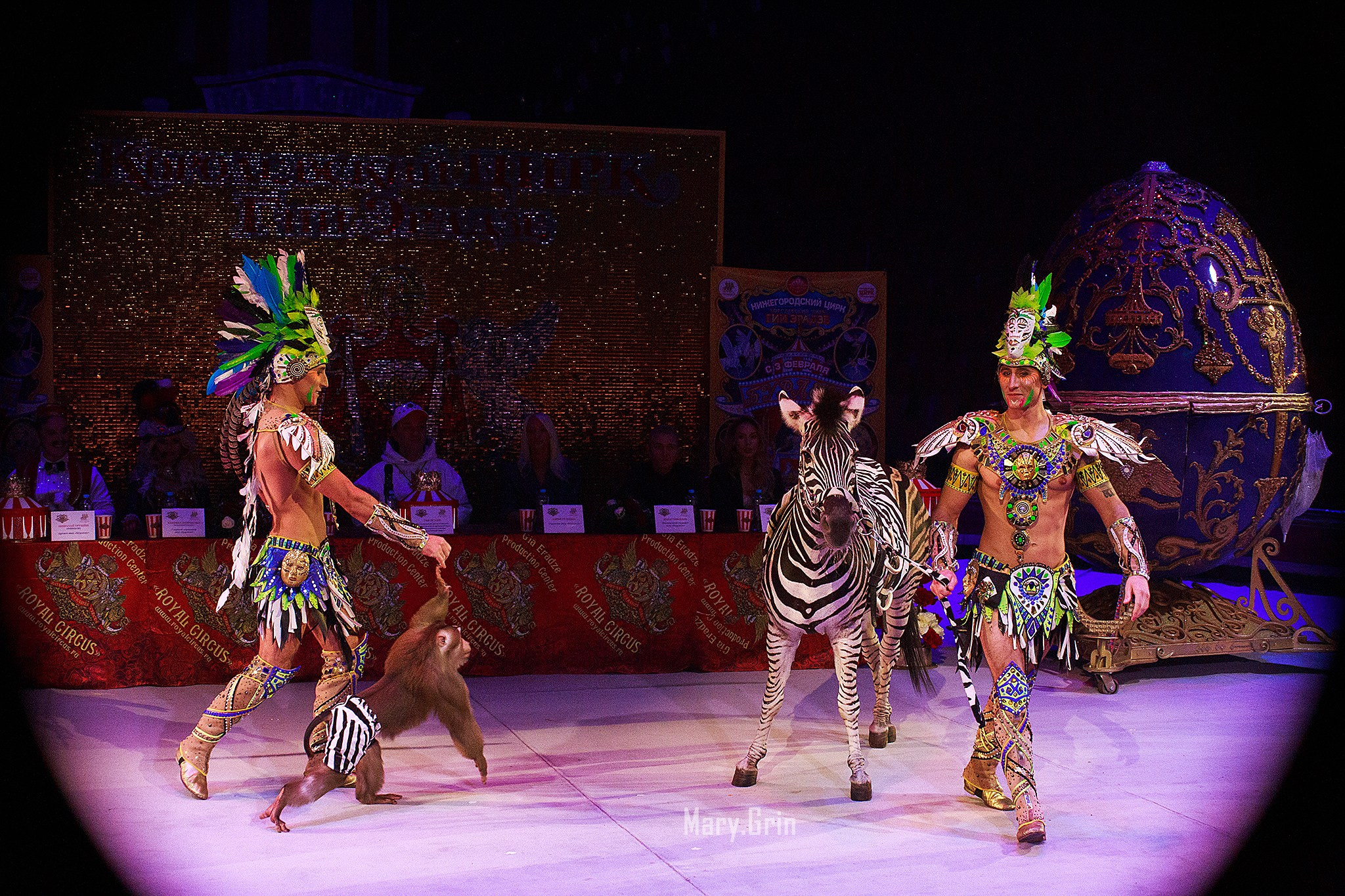 Цирк Гии Эрадзе. Детский и семейный фотограф, фотограф мероприятий Нижний Новгород