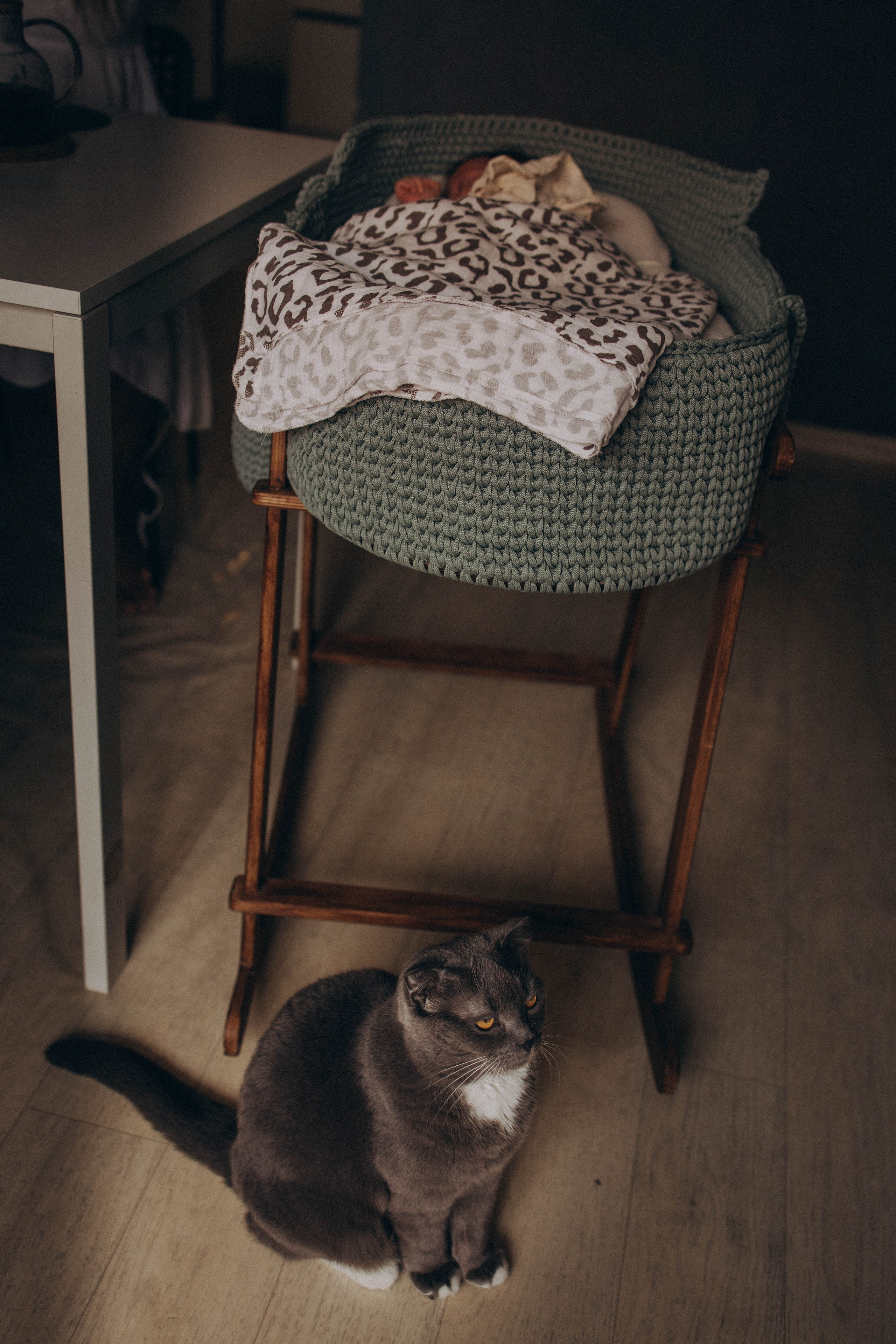 Саша Аня и Василиса. Фотограф lifestylе в Москве Пшеничная Анастасия