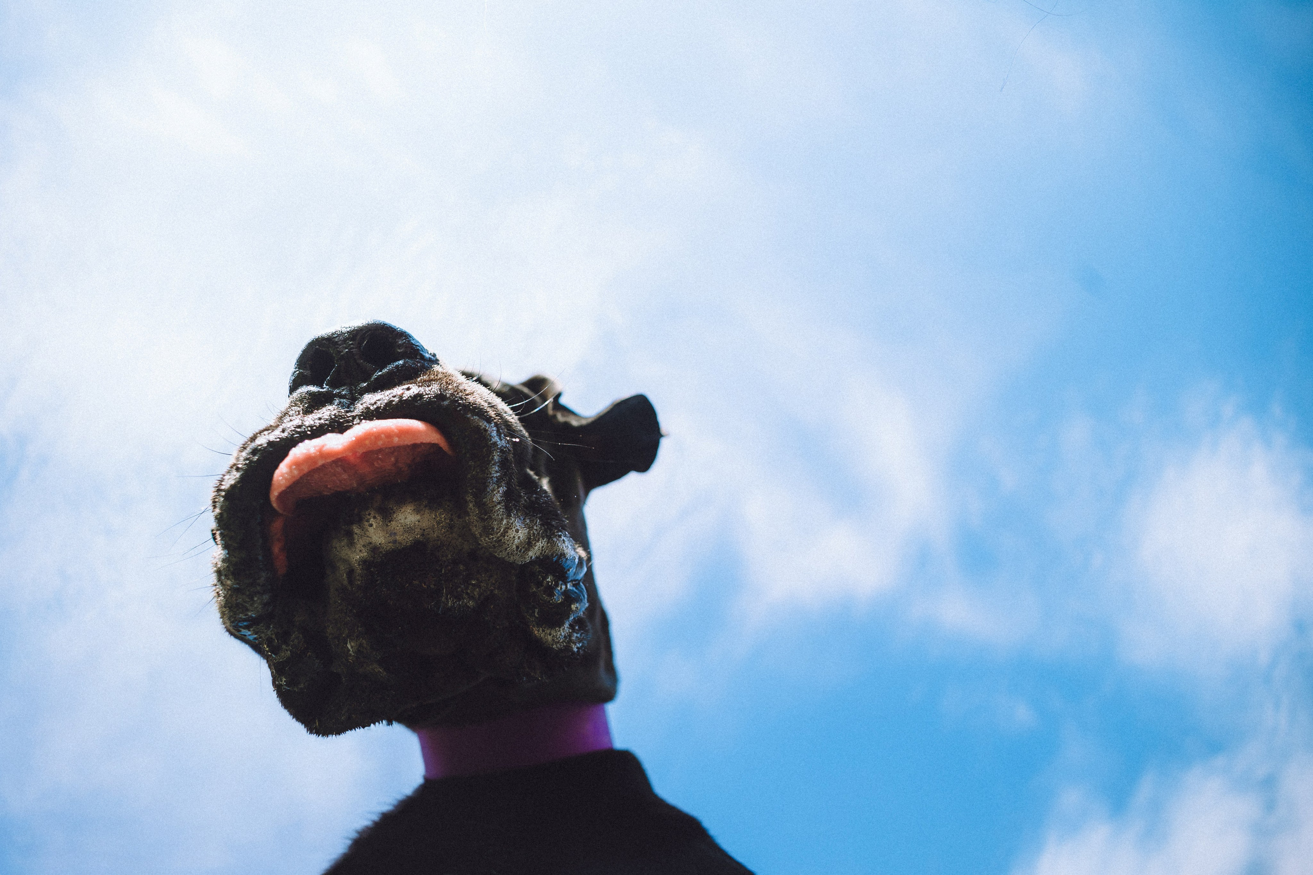 Катя, Андрей, Гектор, Ричи, Тортик и Трой