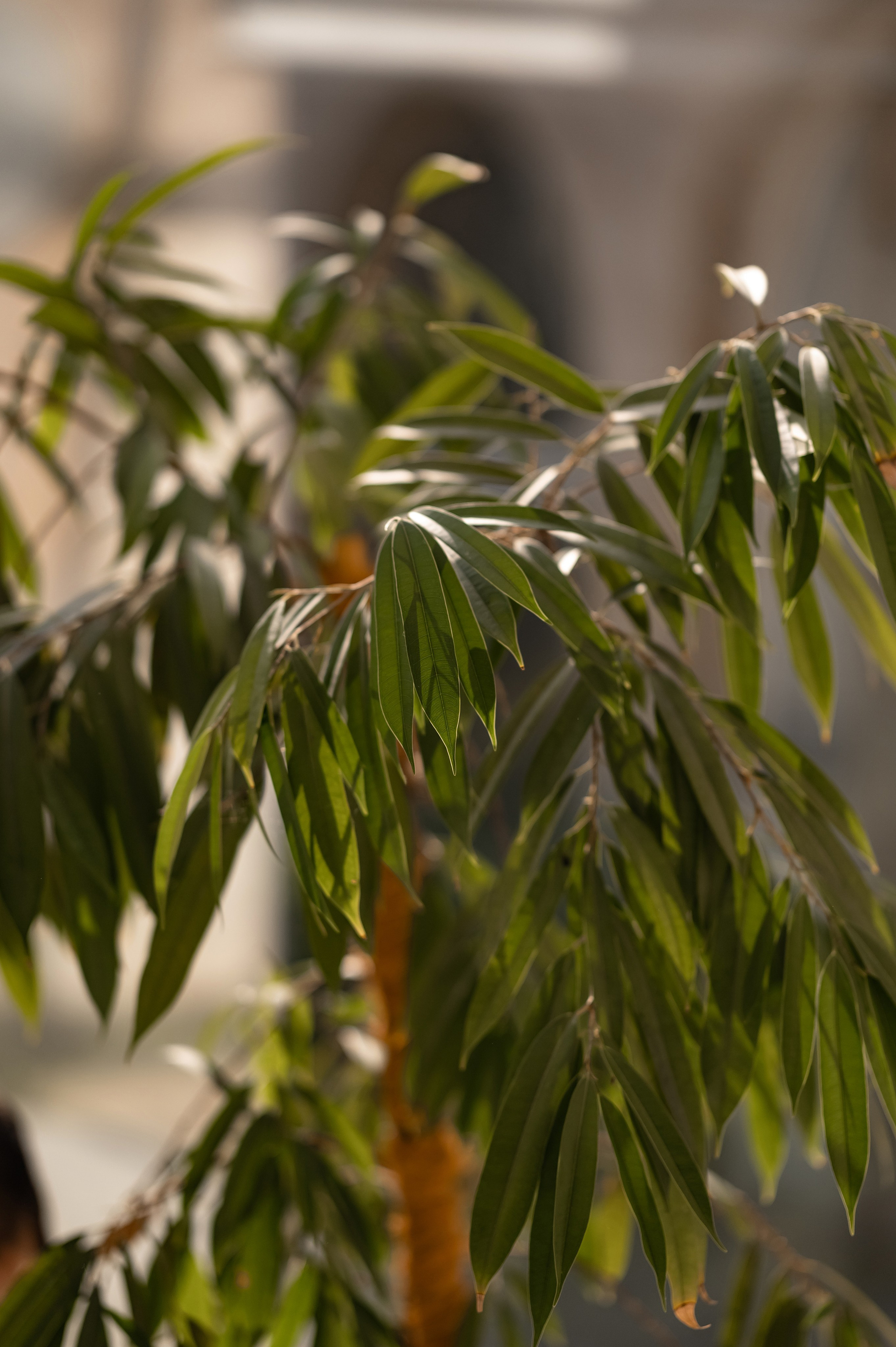 Влад и Ангелина. Свадебный фотограф и видеограф