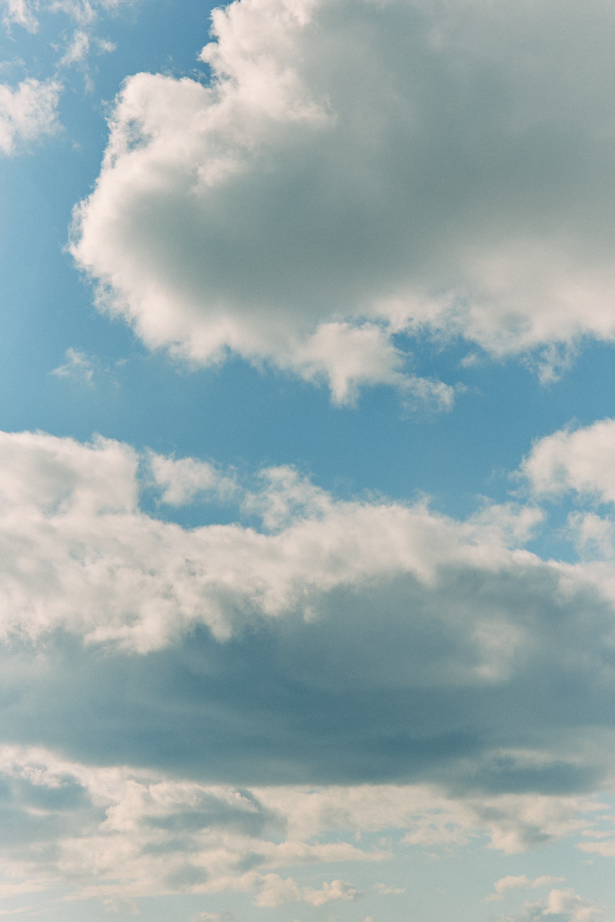 Юг России. Профессиональный Фотограф во Владимире, в Москве и в Суздале — Полина Романычева