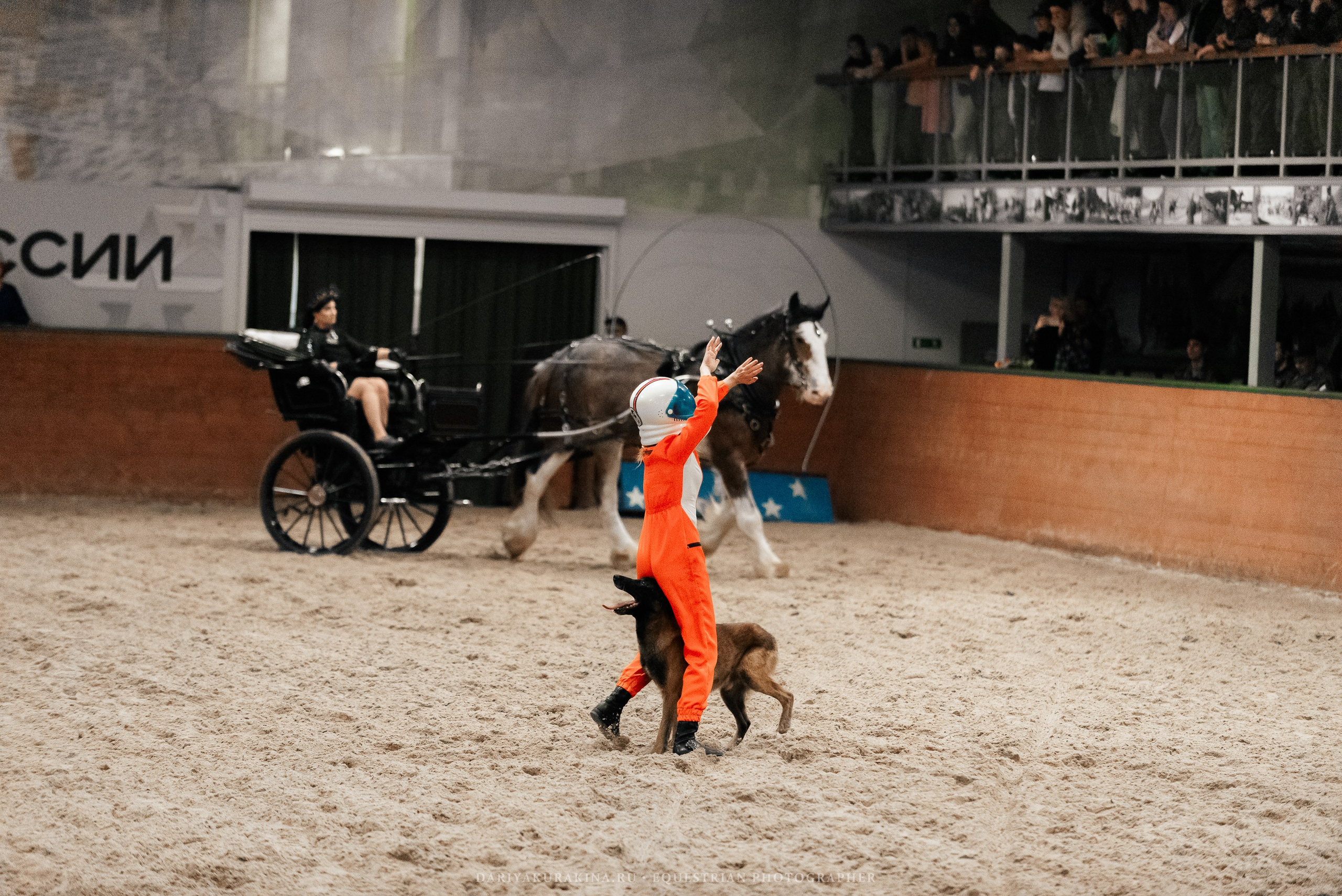 Конное представление «Дыхание Звёзд». Конный фотограф Куракина Дарья • Фотосессии с лошадьми