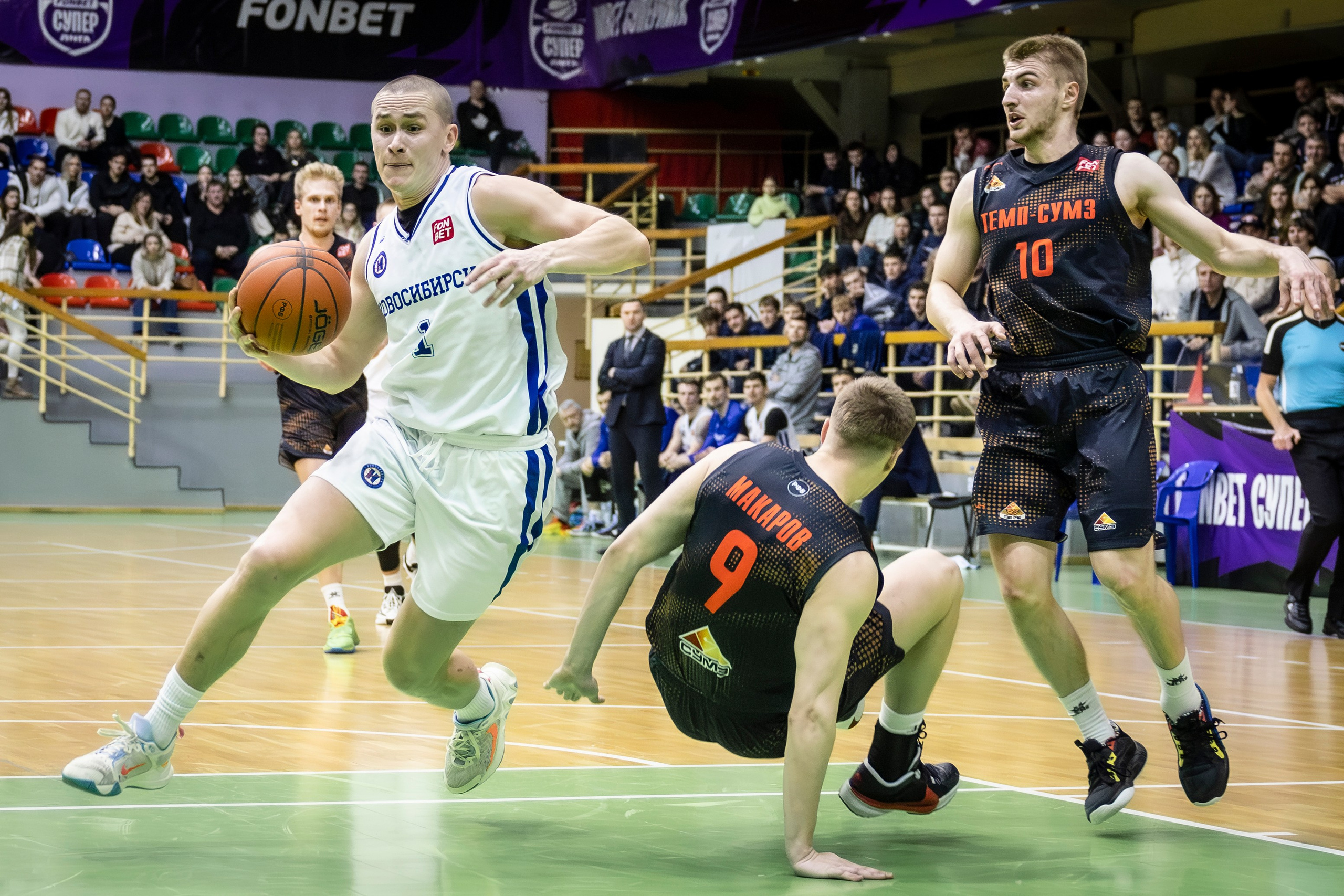 БК Новосибирск. Bertran Ordo