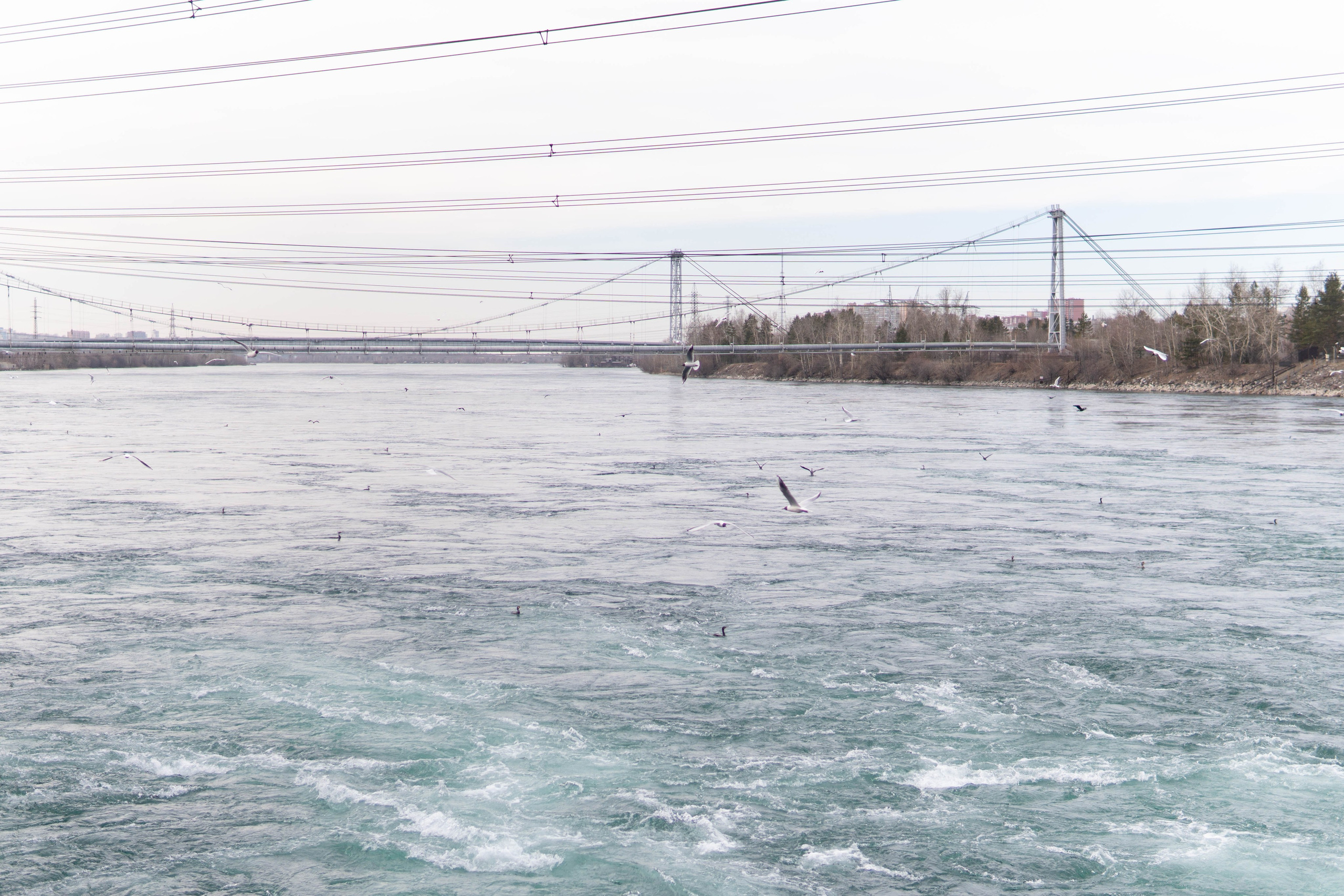 Экскурсия краснодарской делегации. Медиа-портфолио Марии Абрашиной