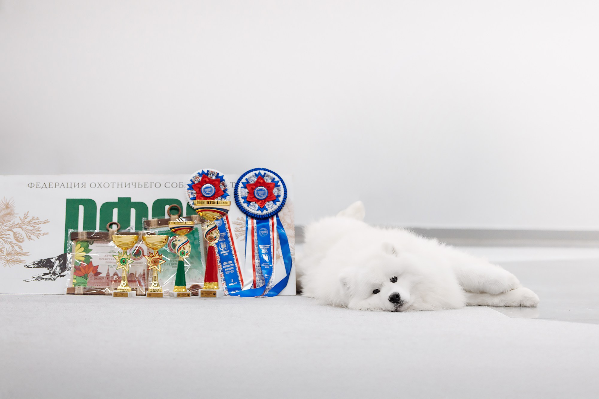 29-30.11.2025 — Казань «Зилант». Фотограф-анималист Саша Вязьмина