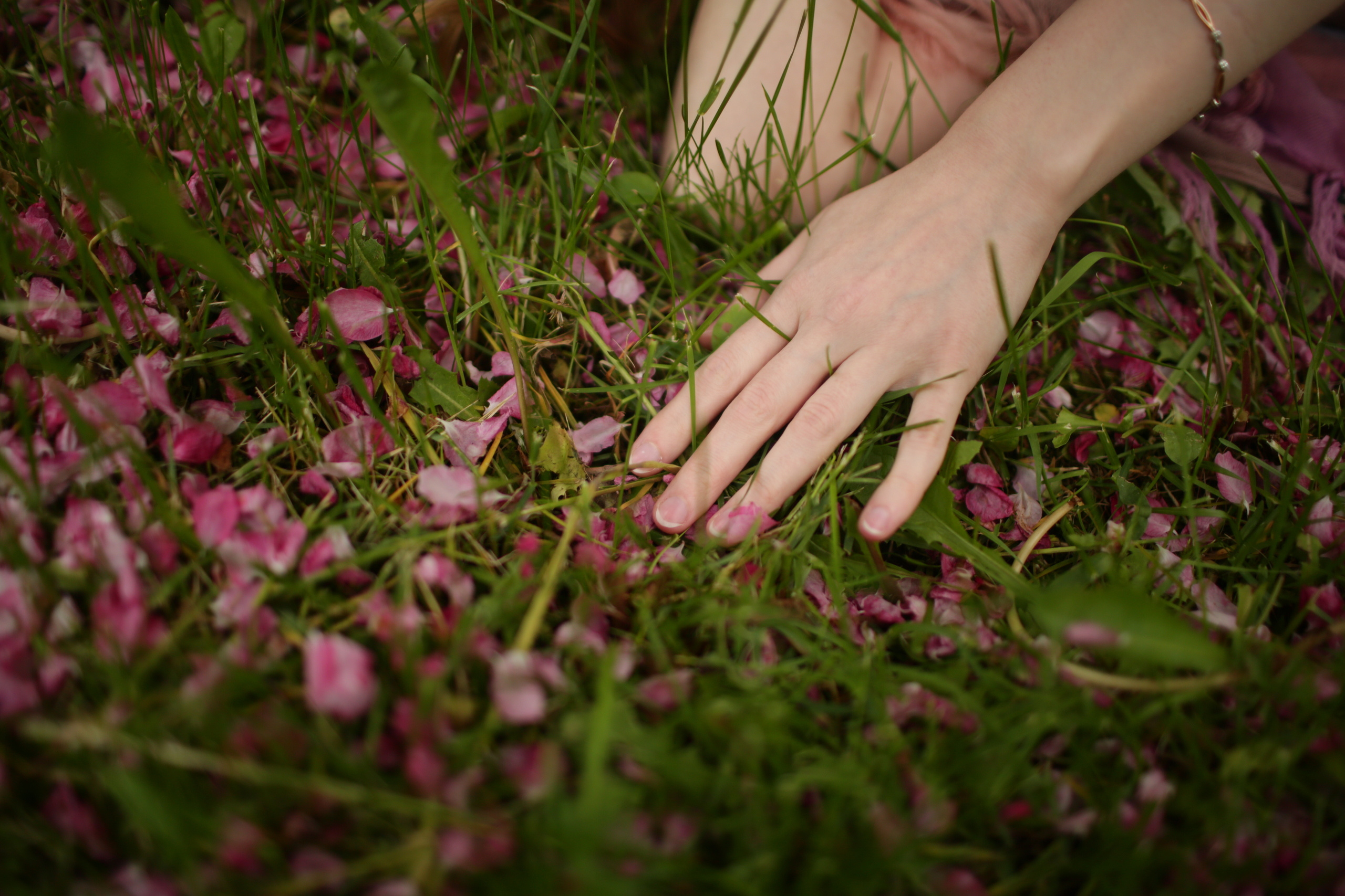 Розовые яблони: Маша. Свадебный и репортажный фотограф (Москва, Королев и другие)