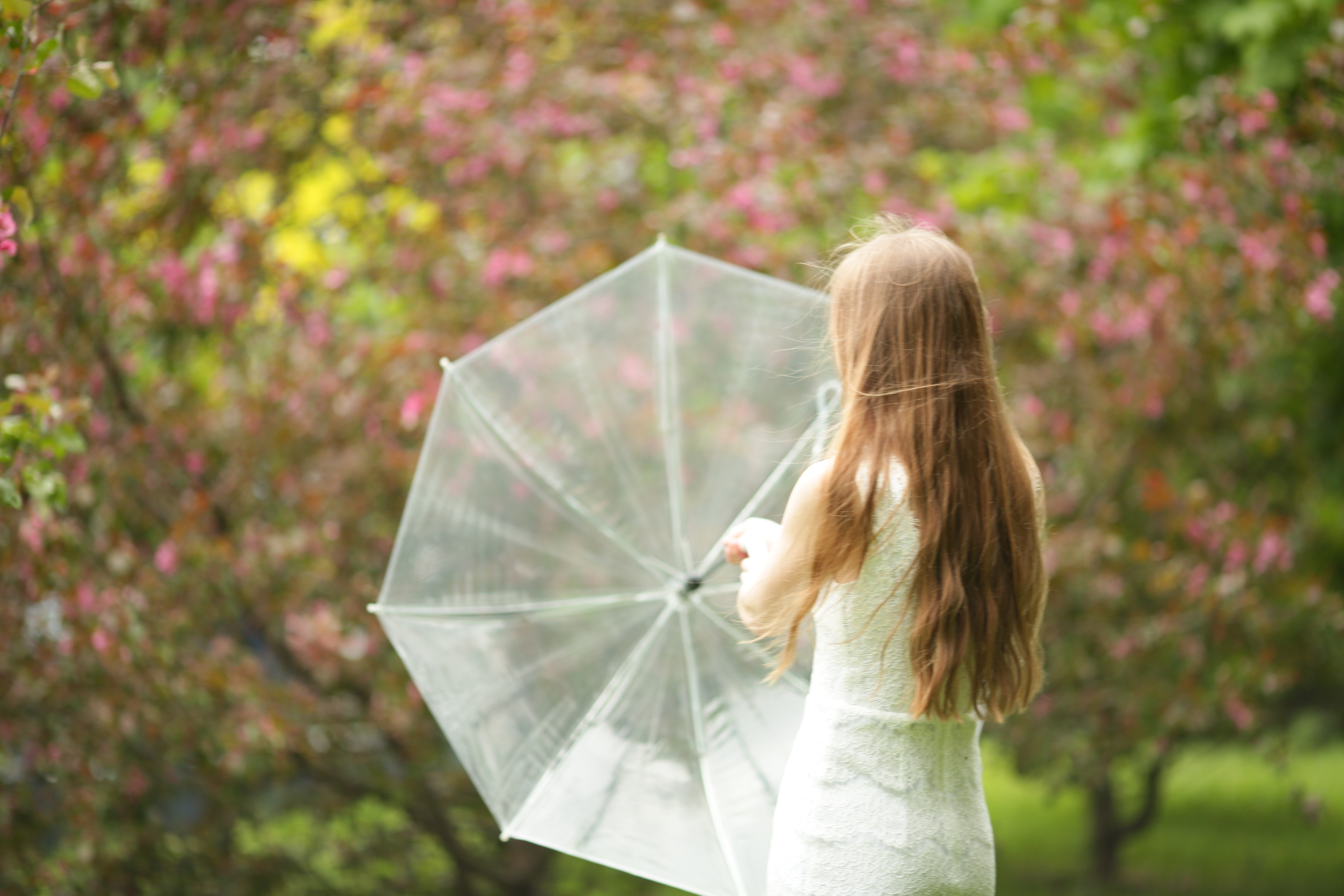 Розовые яблони: Маша. Свадебный и репортажный фотограф (Москва, Королев и другие)