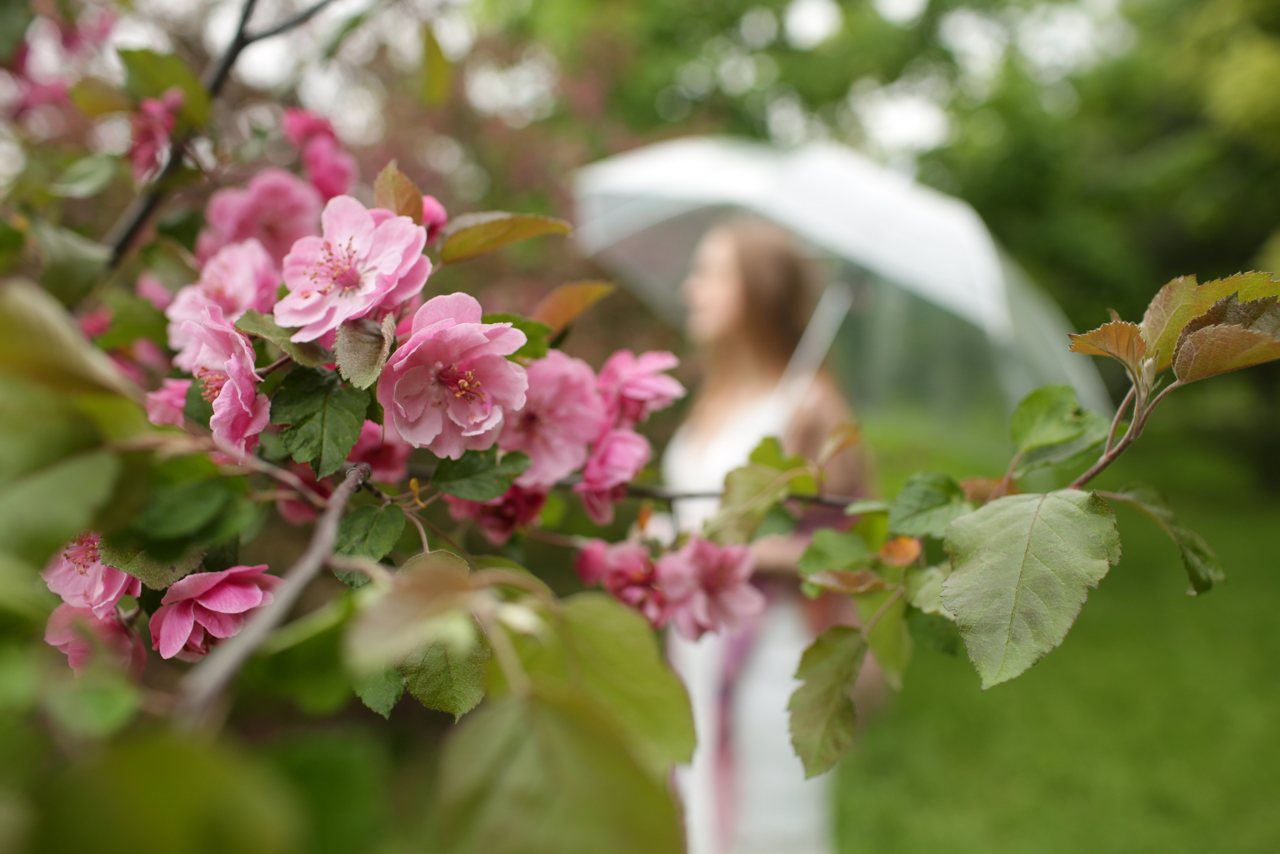 Розовые яблони: Маша. Свадебный и репортажный фотограф (Москва, Королев и другие)