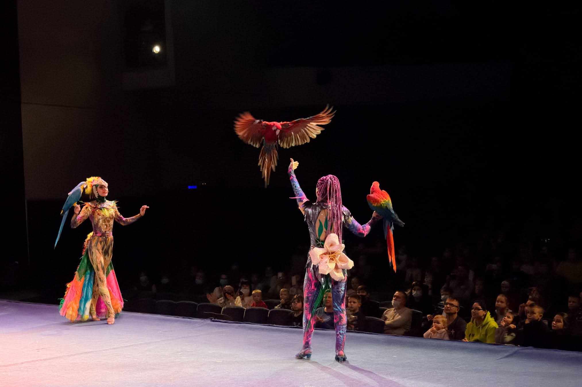 #цирк;#circus;#цирковоеискусство;#acrobatics (акробатика);#aerialist (воздушная гимнастика);#aerialsilks (воздушные полотна);#aerialhoop (воздушное кольцо);#contortion (конторсия, гибкость);#жонглёр;#клоун;#трапеция;#circuslife (жизнь цирка);#цирковойномер;#cirquedusoleil ;#цирковаятруппа.#цирк_фотограф;#фото_цирк;#circus_photography;#цирковыекадры;#закулисыцирка;#backstagecircus.
