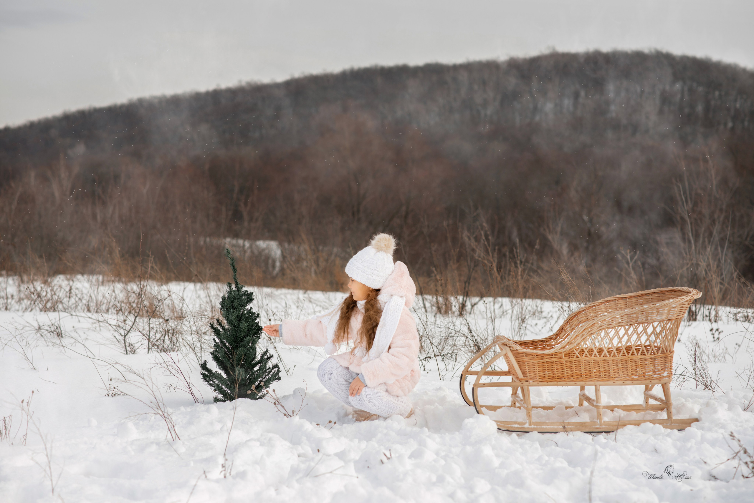 Милана и Вымпел. Конный фотограф в Саратове Юлия Иванова