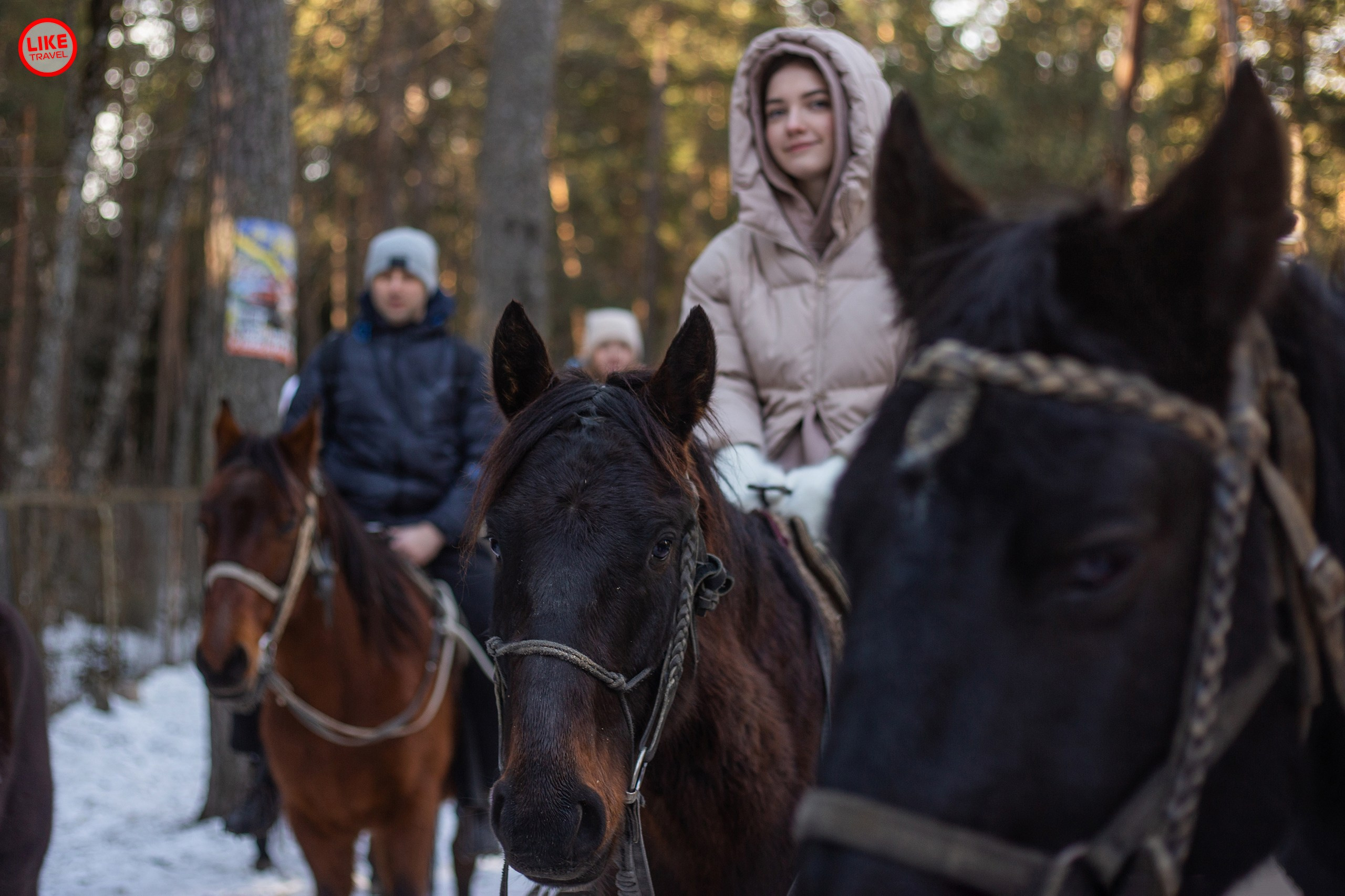 Архыз. Фотосессии Ростов-на-Дону, Новочеркасск Юлия Гросс