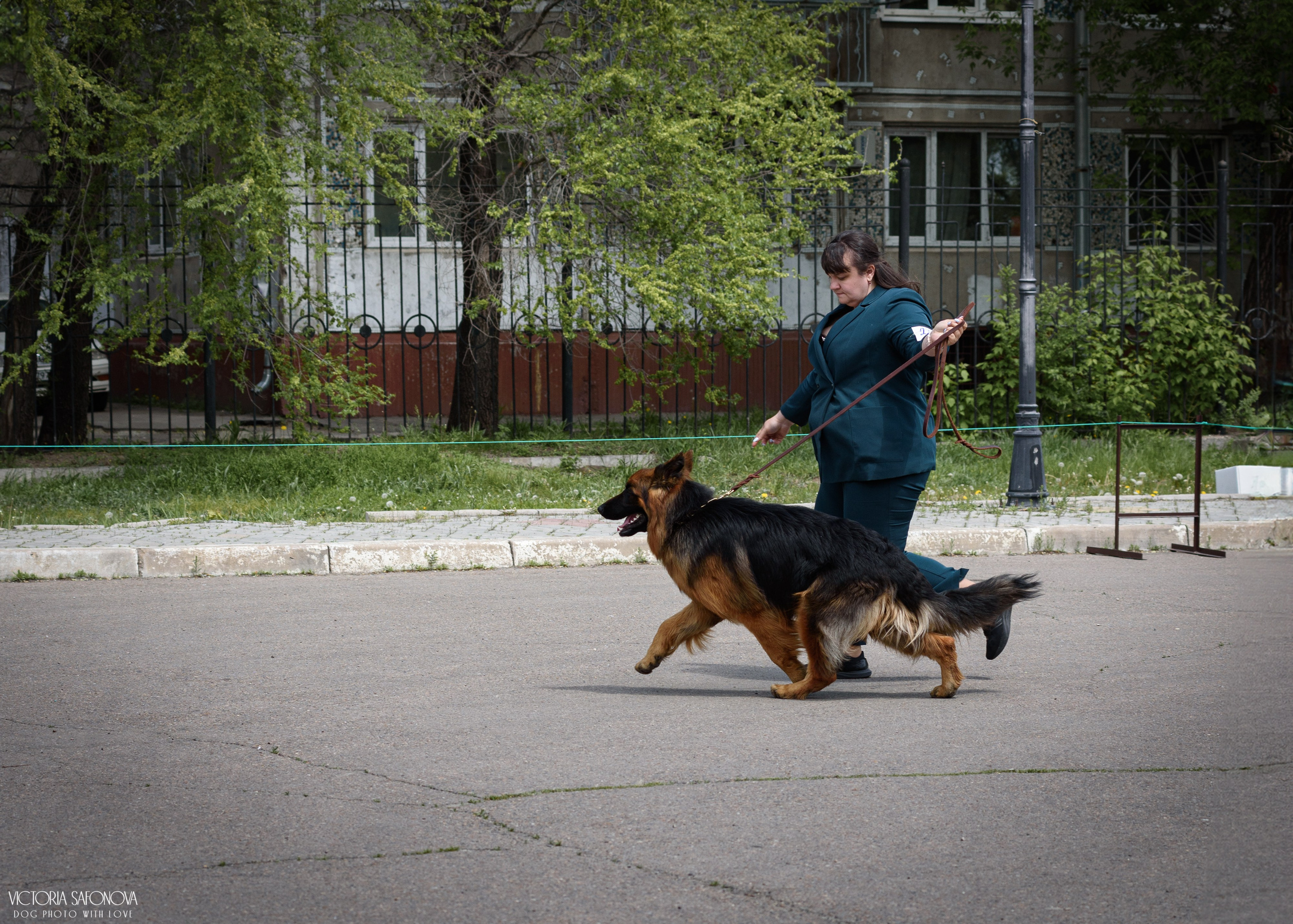 24–25 мая 2025. Благовещенск. Фотограф анималист Благовещенск. Сафонова Виктория